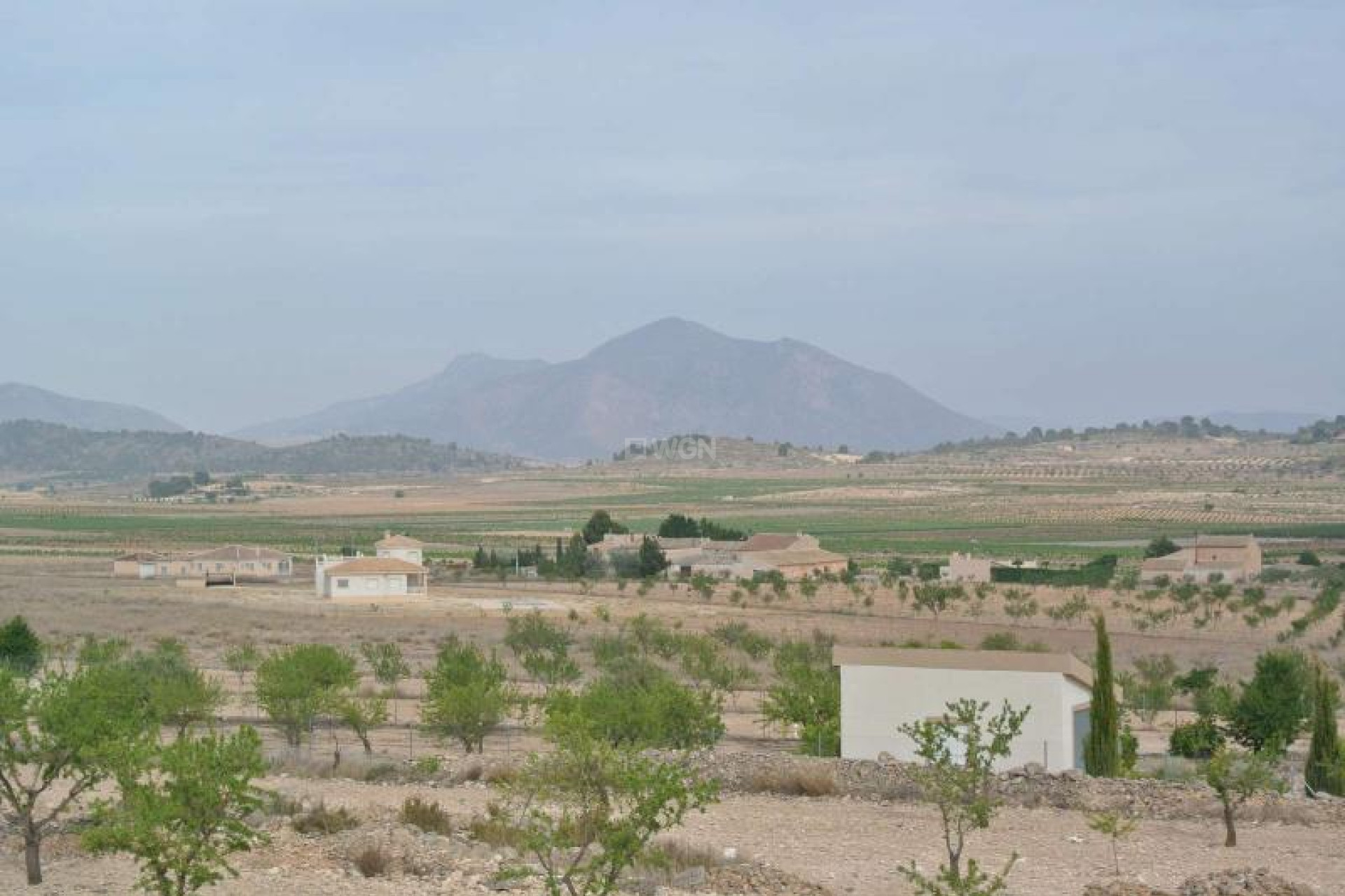 Reventa - Land - Jumilla - Inland