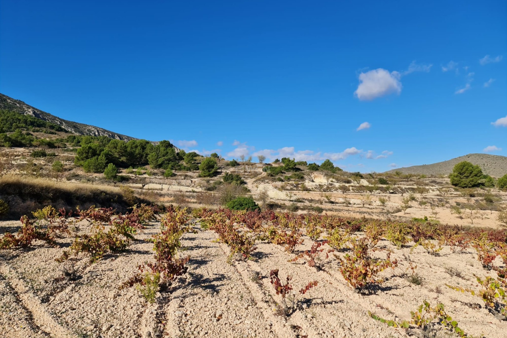 Reventa - Land - La Romana - Inland