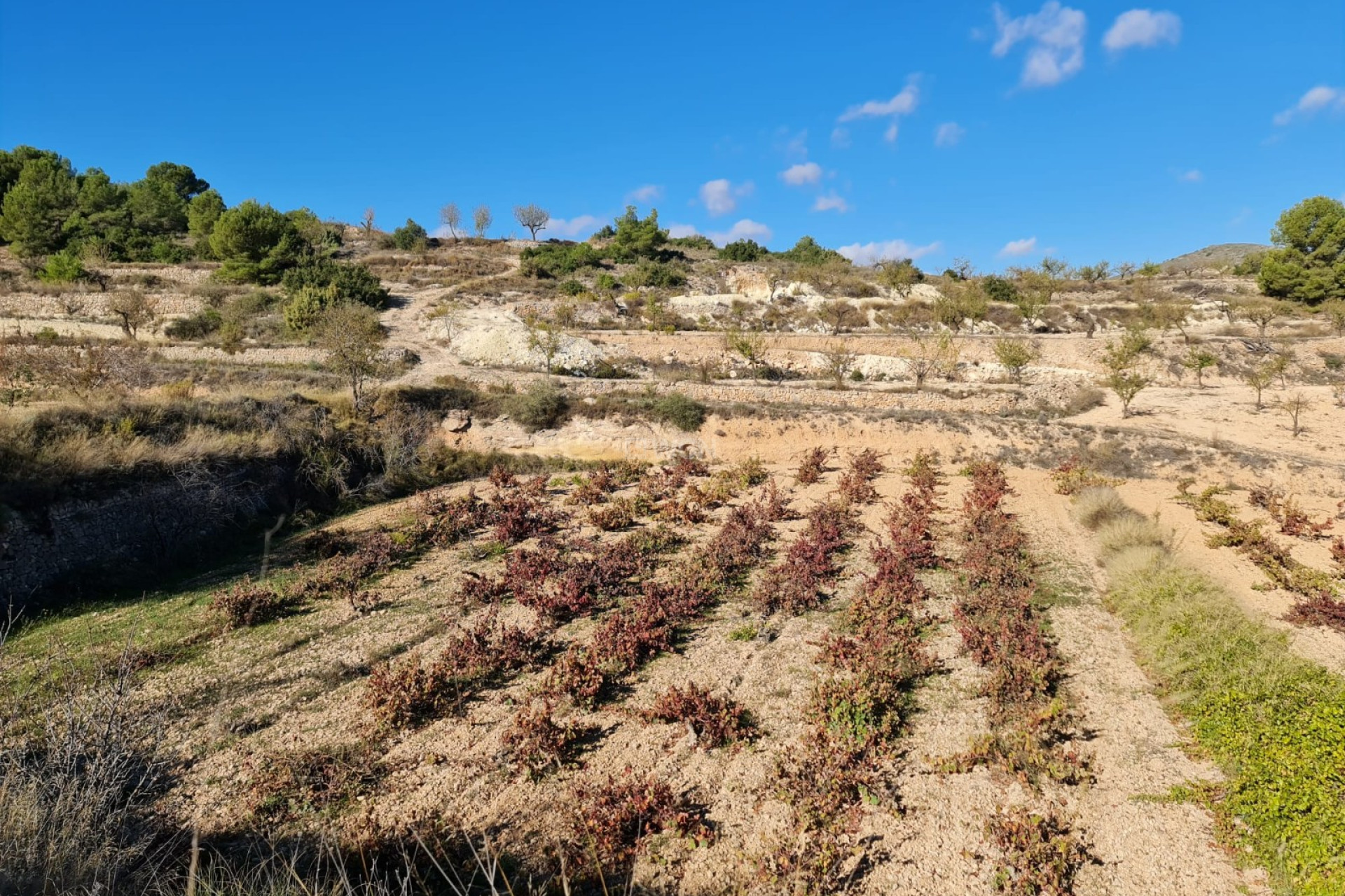 Reventa - Land - La Romana - Inland