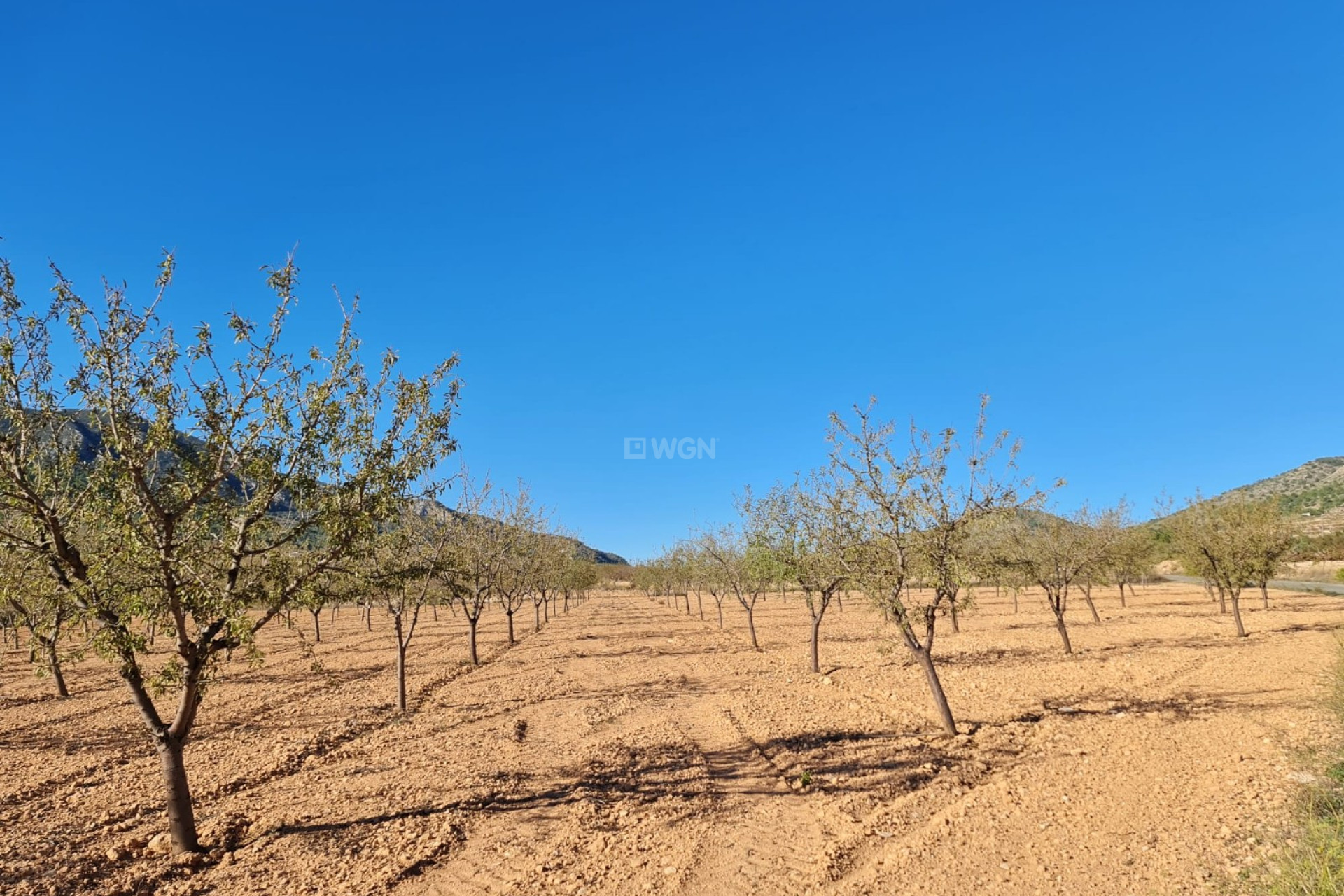 Reventa - Land - La Romana - Inland