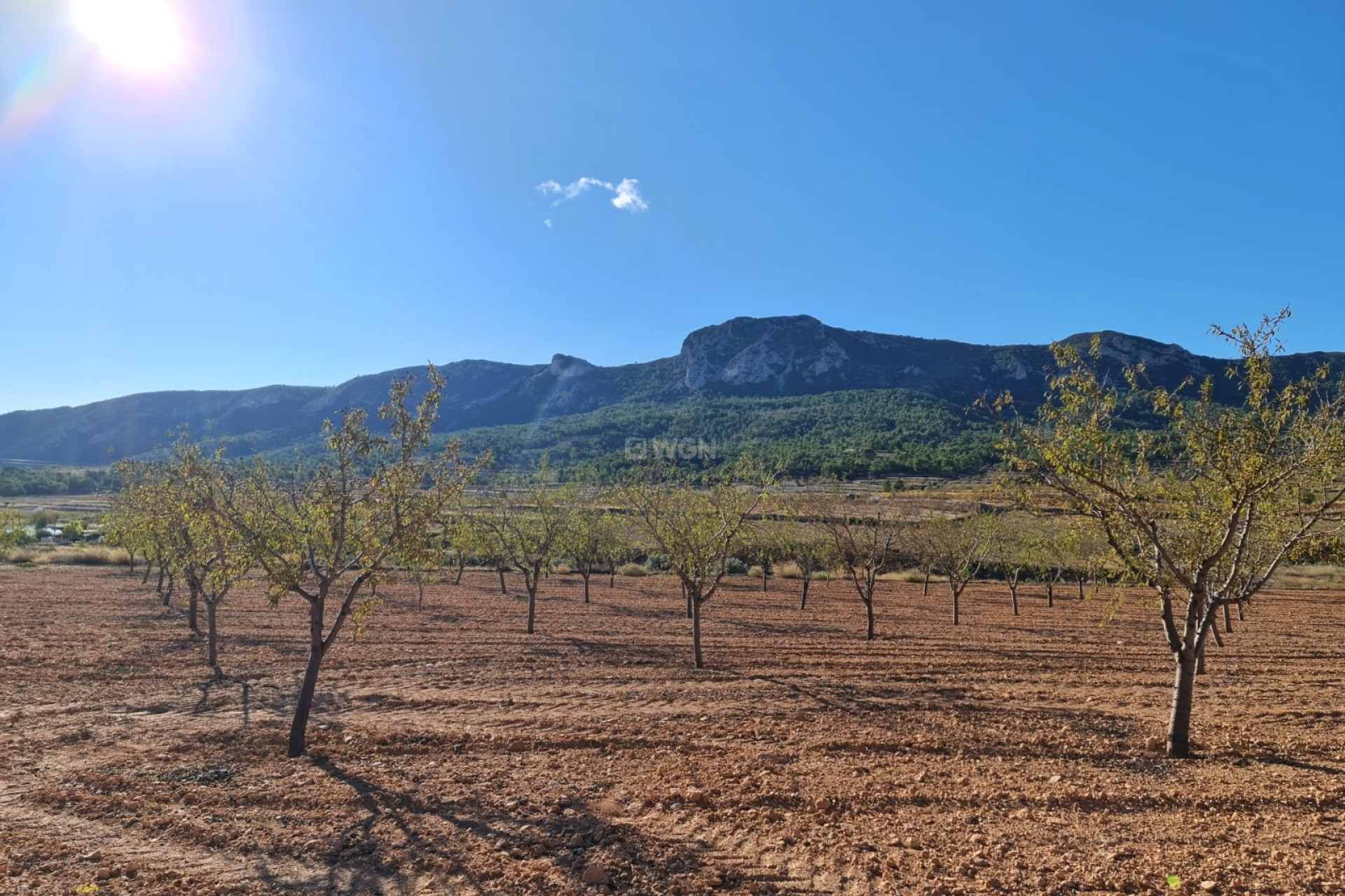 Reventa - Land - La Romana - Inland