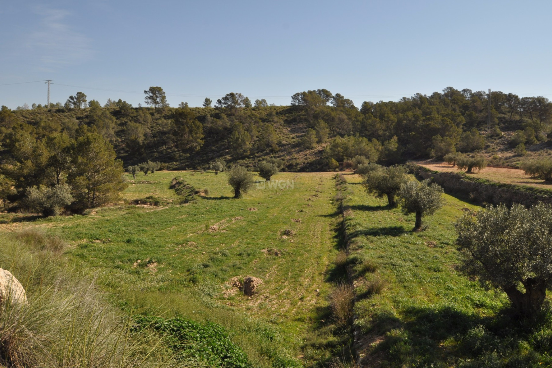 Reventa - Land - La Zarza - Inland