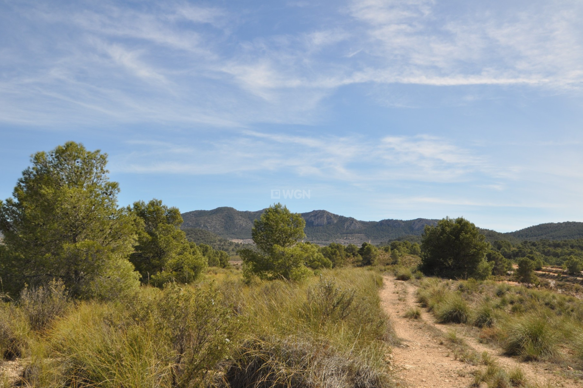 Reventa - Land - La Zarza - Inland