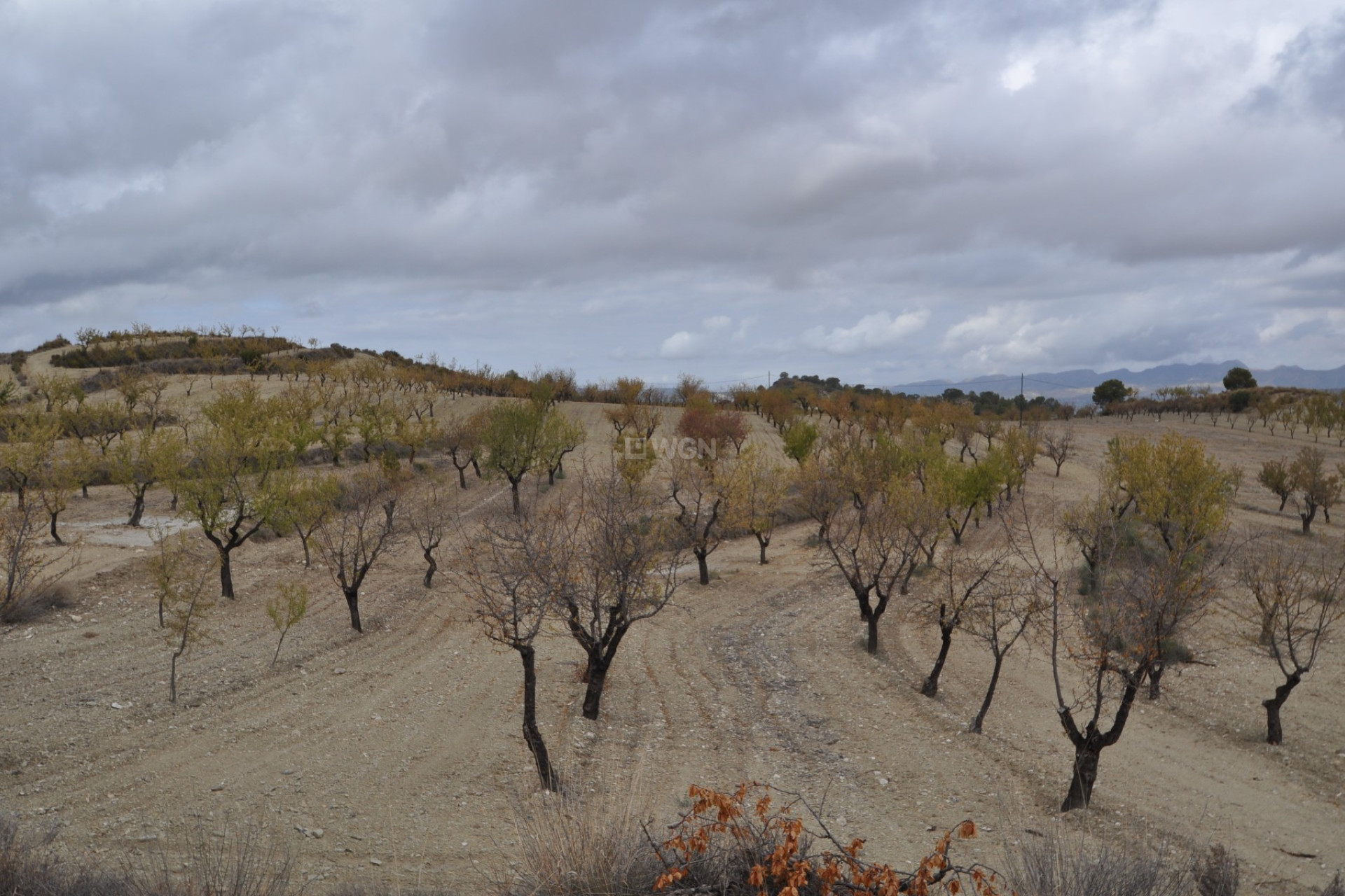 Reventa - Land - La Zarza - Inland