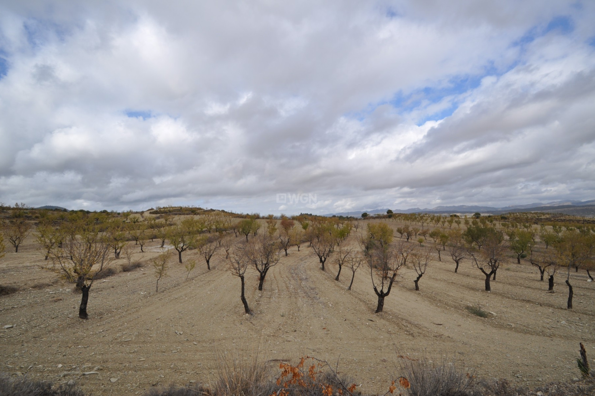 Reventa - Land - La Zarza - Inland