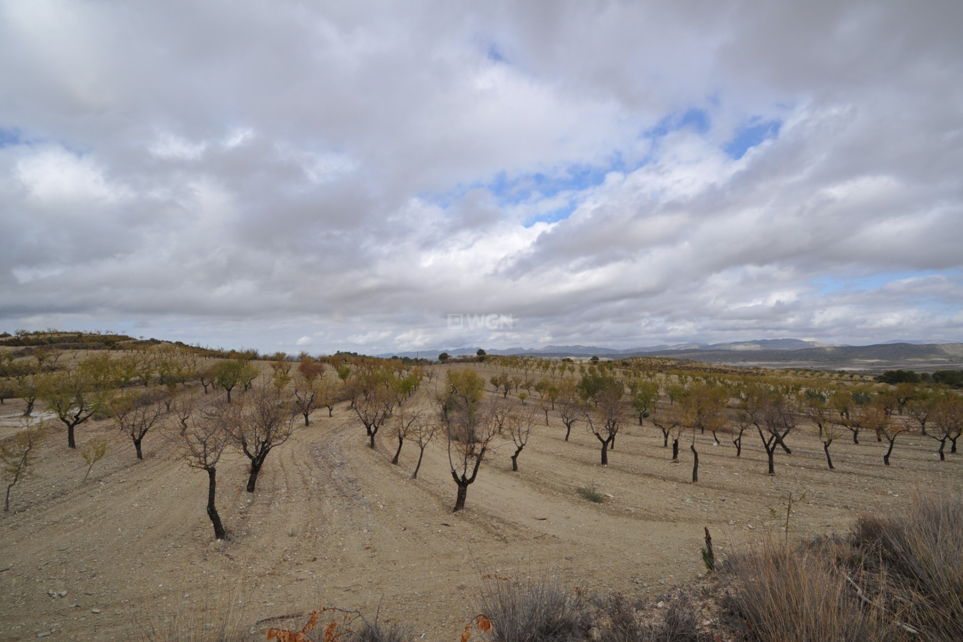 Reventa - Land - La Zarza - Inland