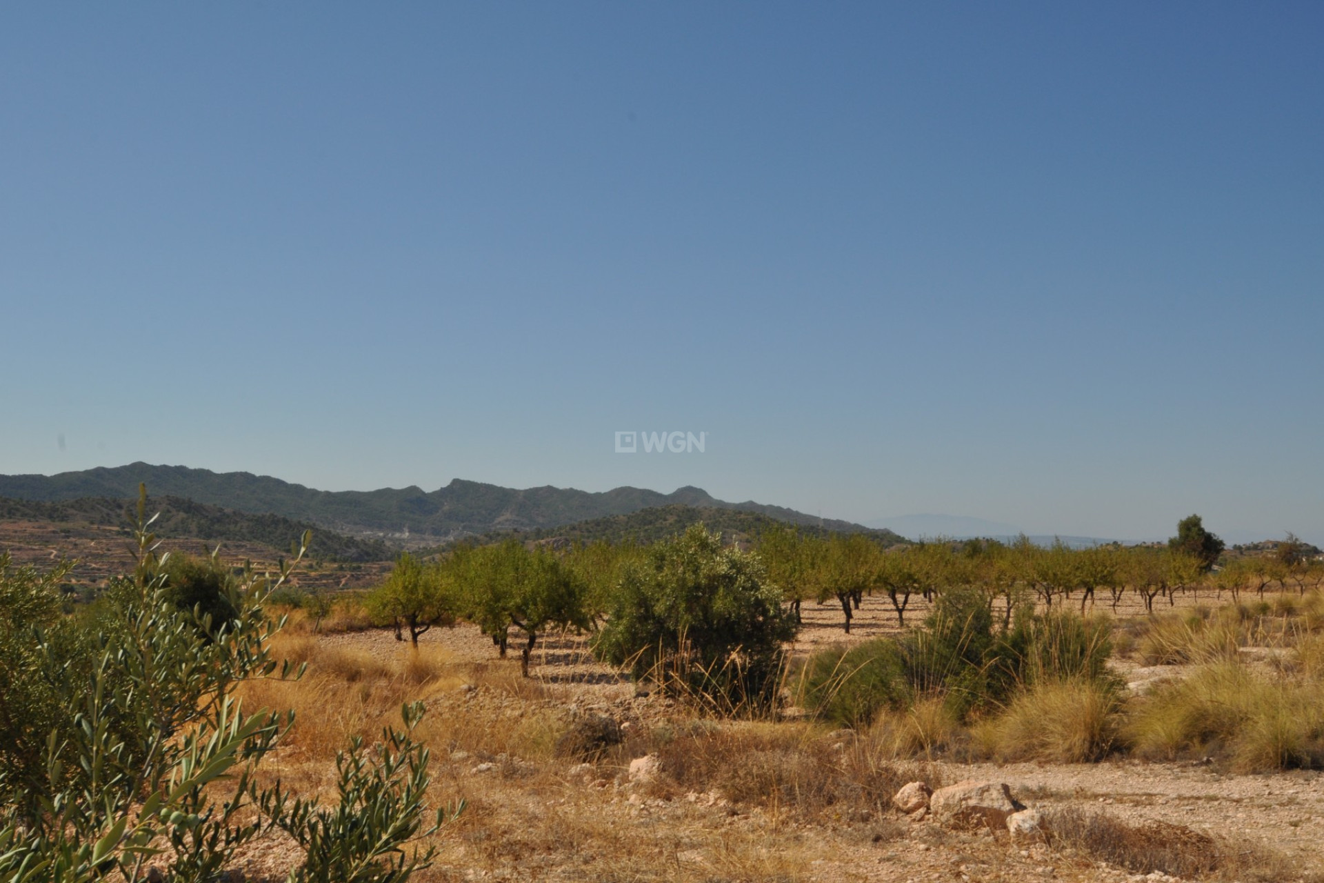 Reventa - Land - Macisvenda - Inland