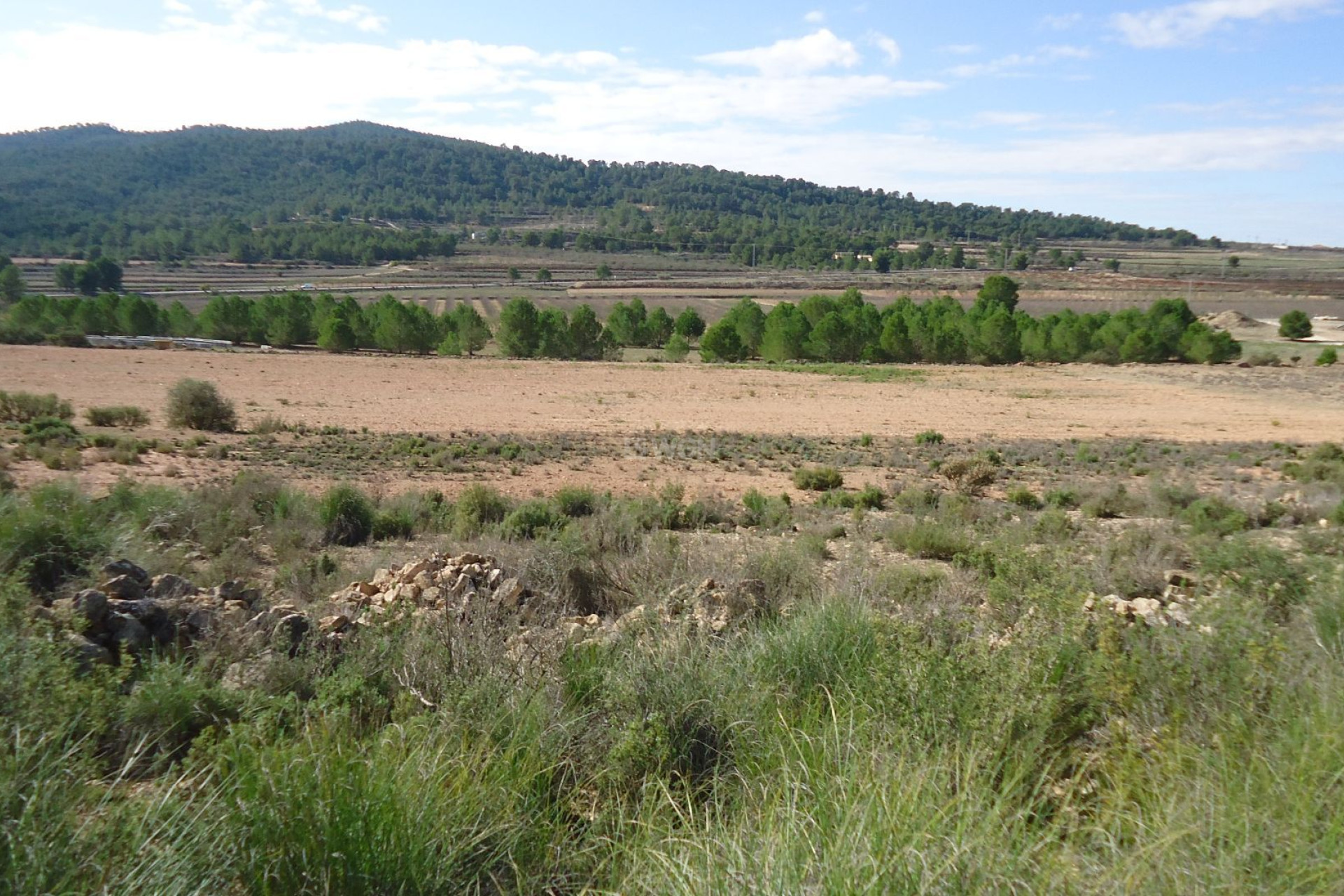 Reventa - Land - Monóvar/Monóver - Inland