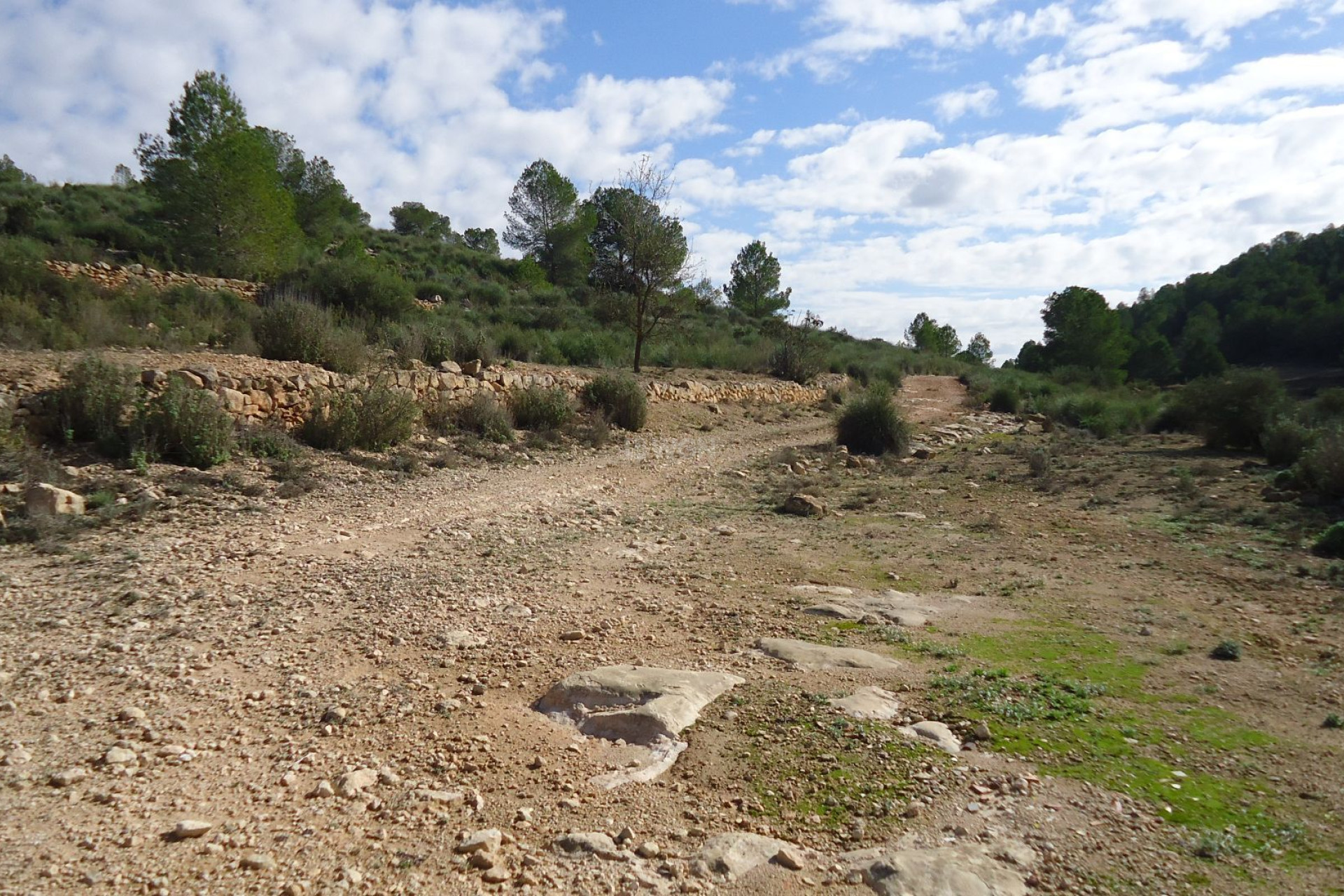 Reventa - Land - Monóvar/Monóver - Inland