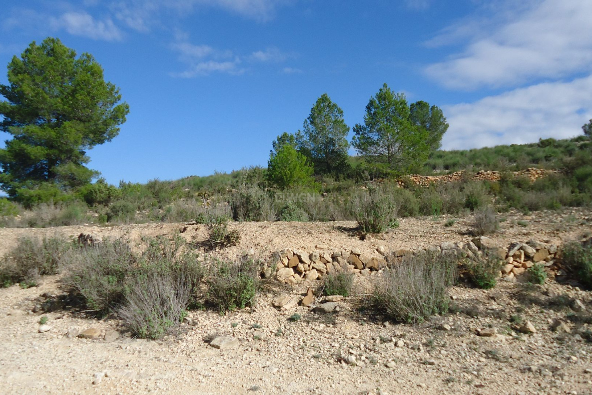 Reventa - Land - Monóvar/Monóver - Inland