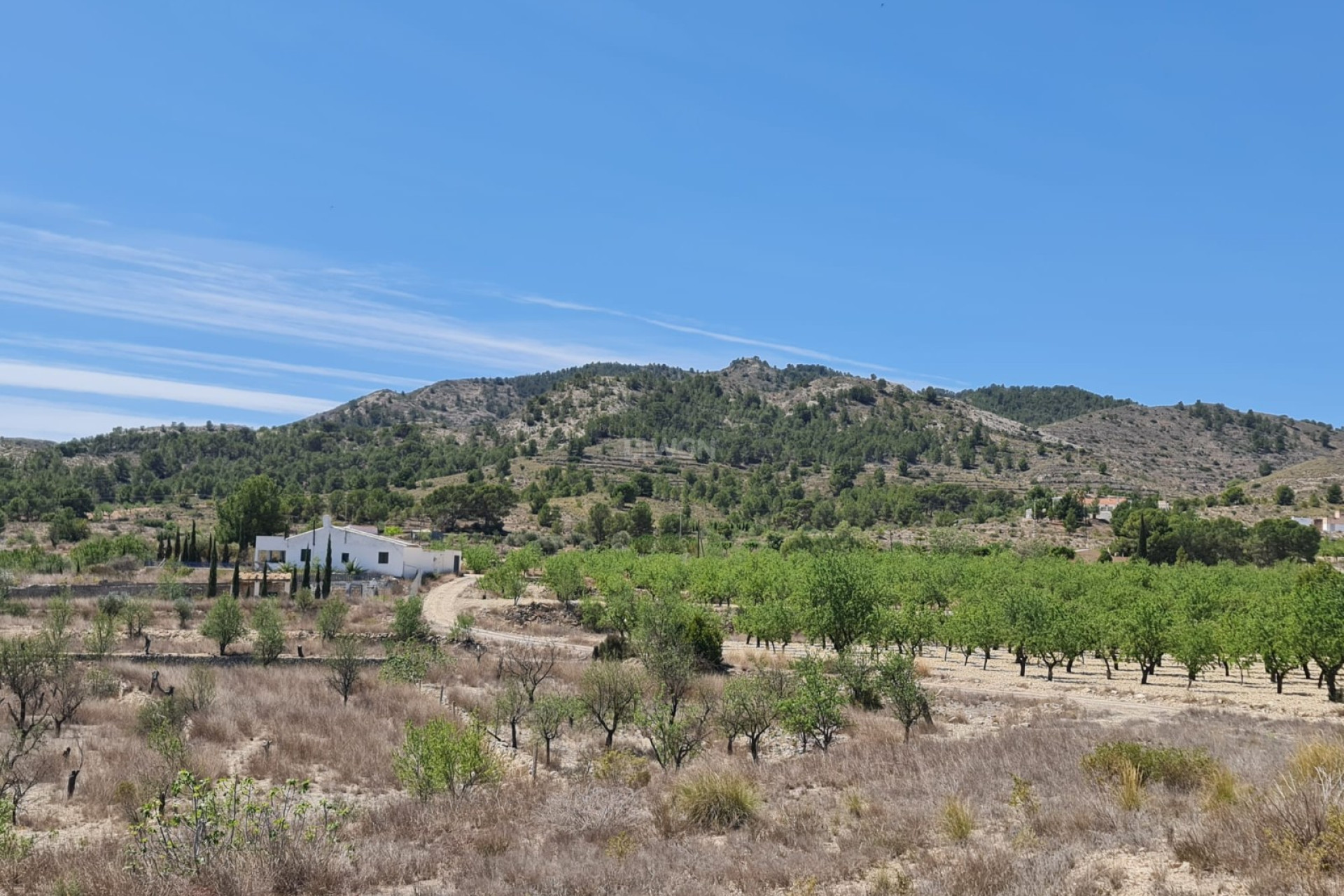 Reventa - Land - Monóvar/Monóver - Inland