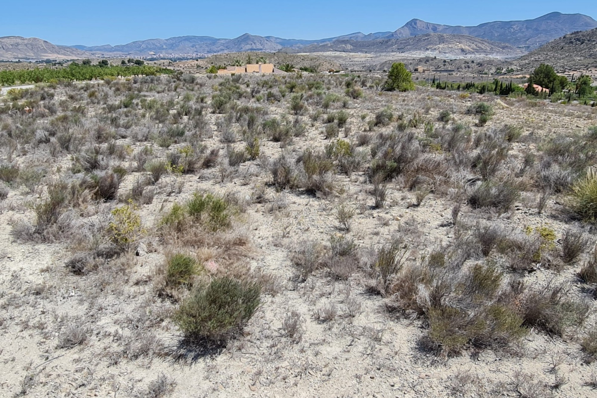 Reventa - Land - Monóvar/Monóver - Inland