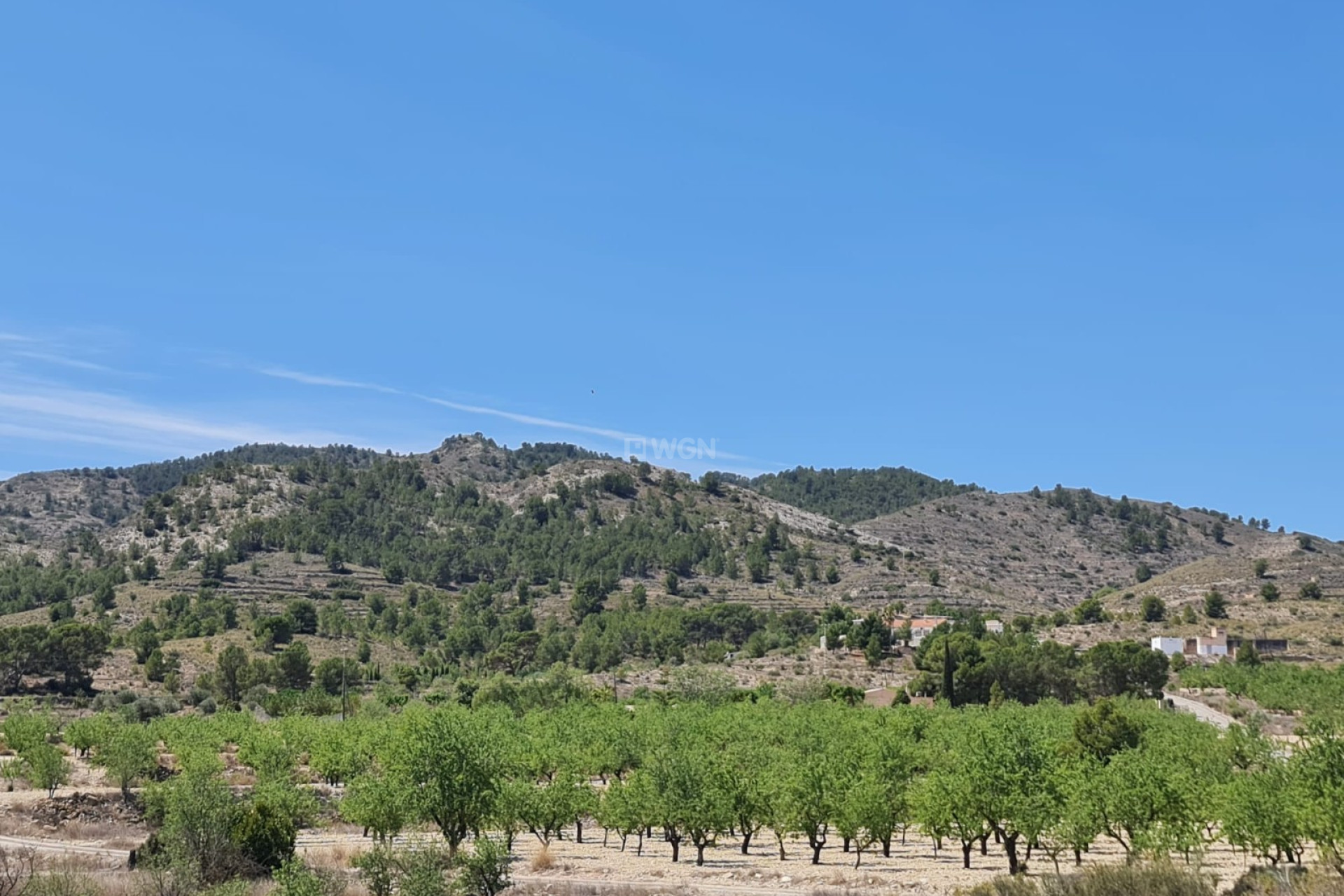 Reventa - Land - Monóvar/Monóver - Inland