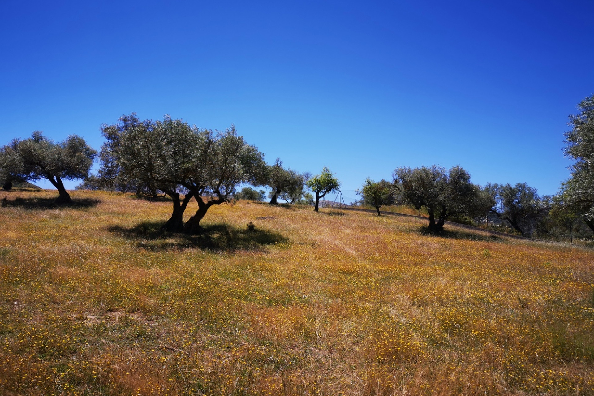 Reventa - Land - Periana - Inland