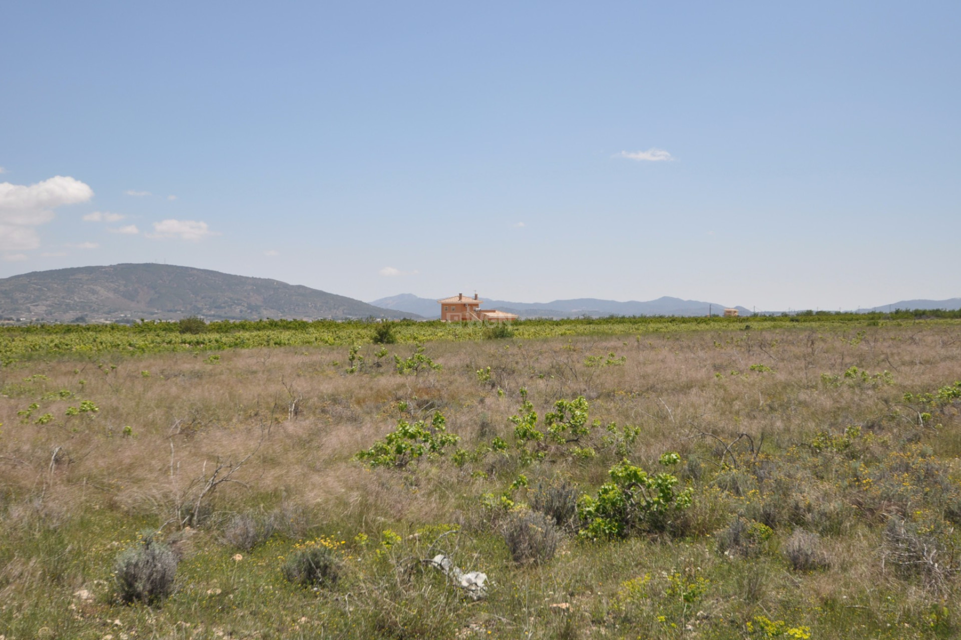 Reventa - Land - Pinoso - Inland