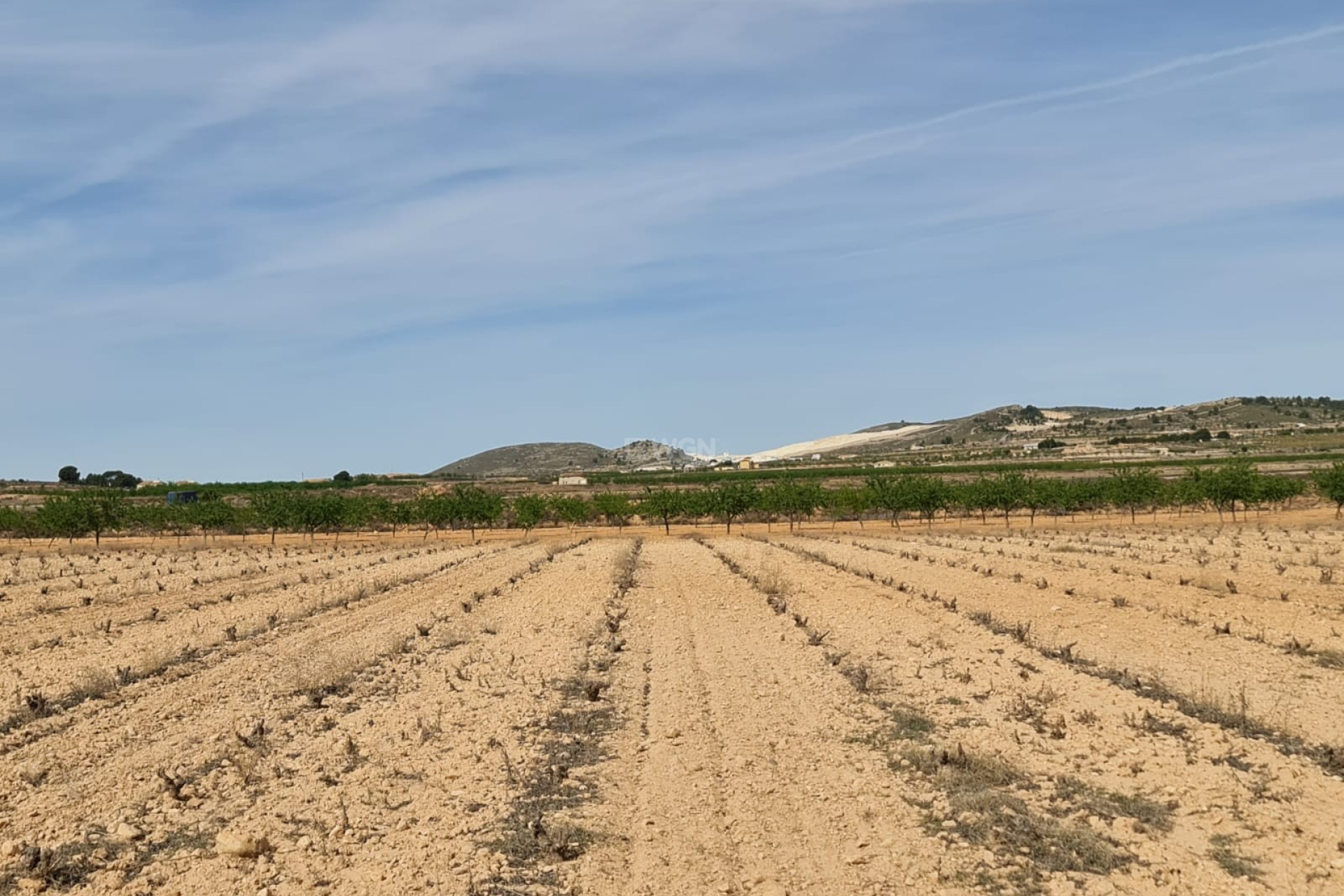 Reventa - Land - Pinoso - Inland