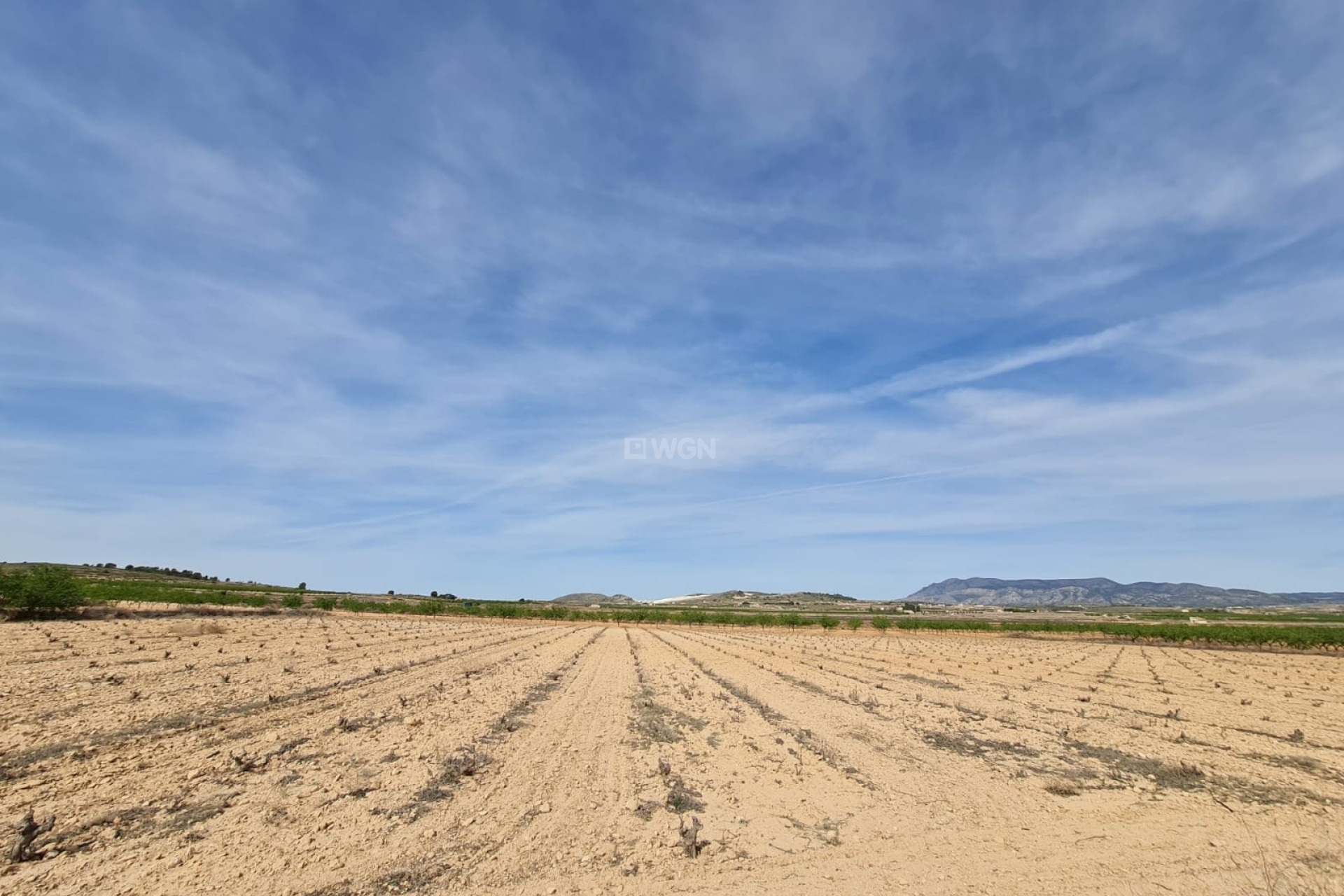 Reventa - Land - Pinoso - Inland