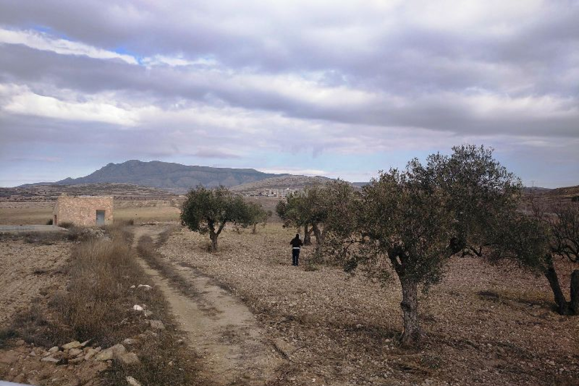 Reventa - Land - Torre Del Rico - Inland