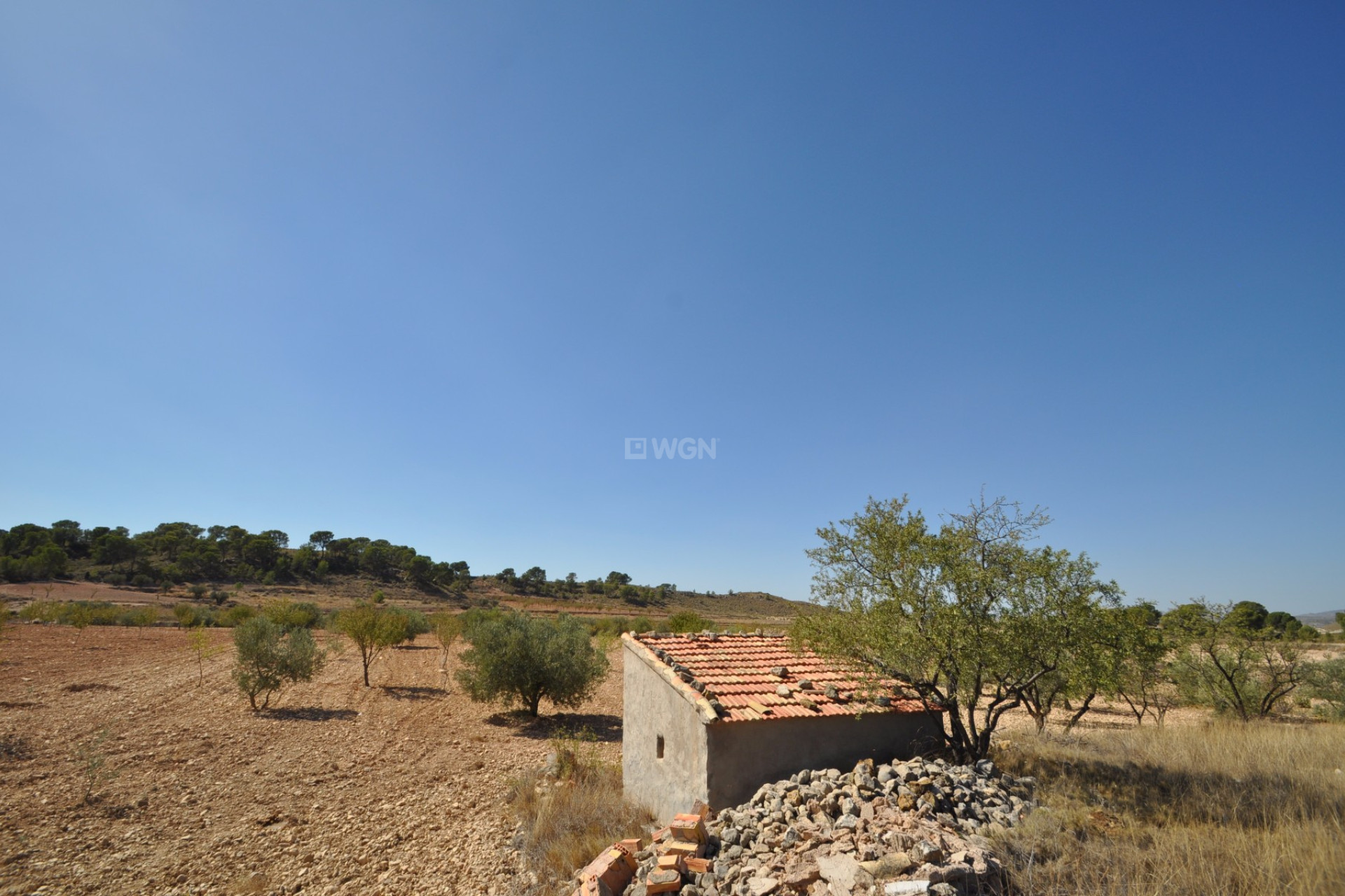 Reventa - Land - Torre Del Rico - Inland