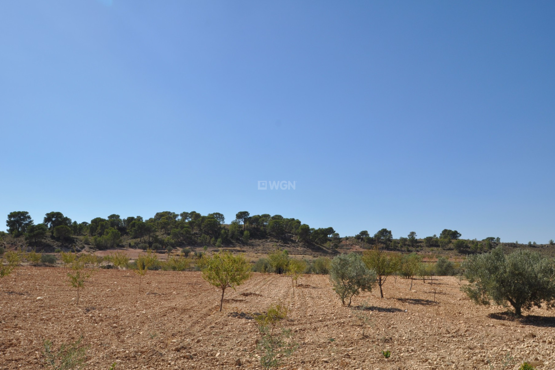 Reventa - Land - Torre Del Rico - Inland