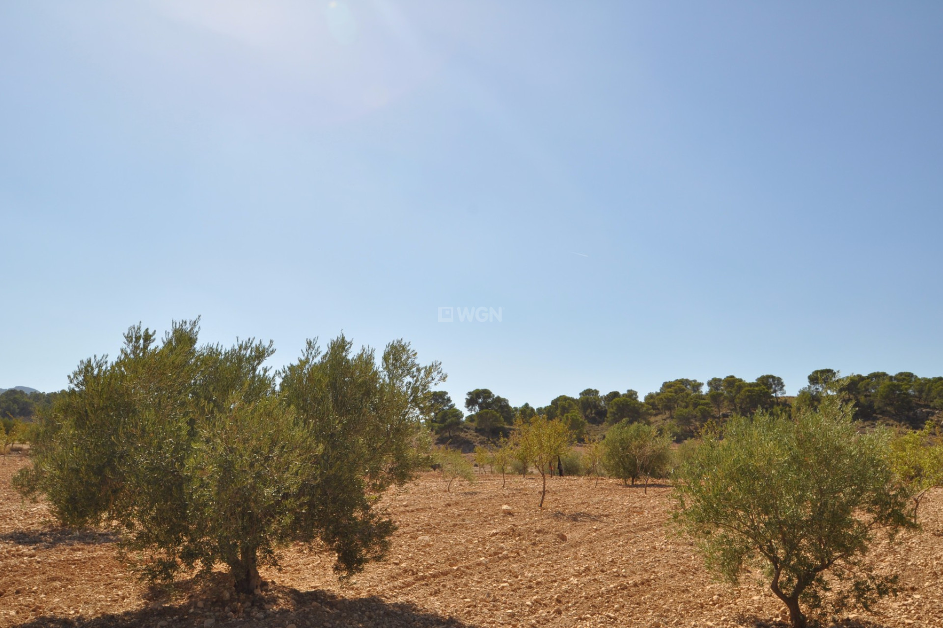 Reventa - Land - Torre Del Rico - Inland