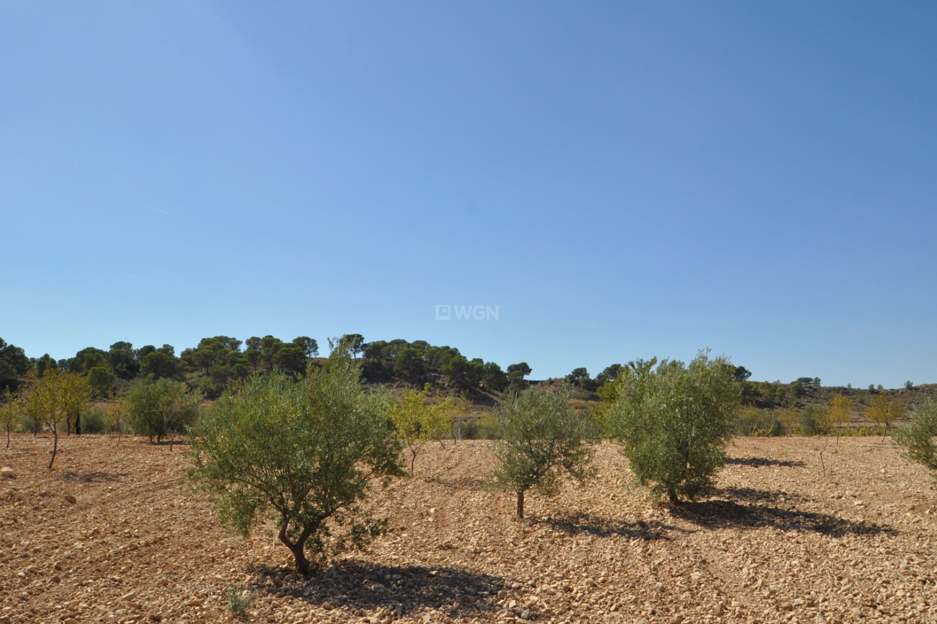 Reventa - Land - Torre Del Rico - Inland