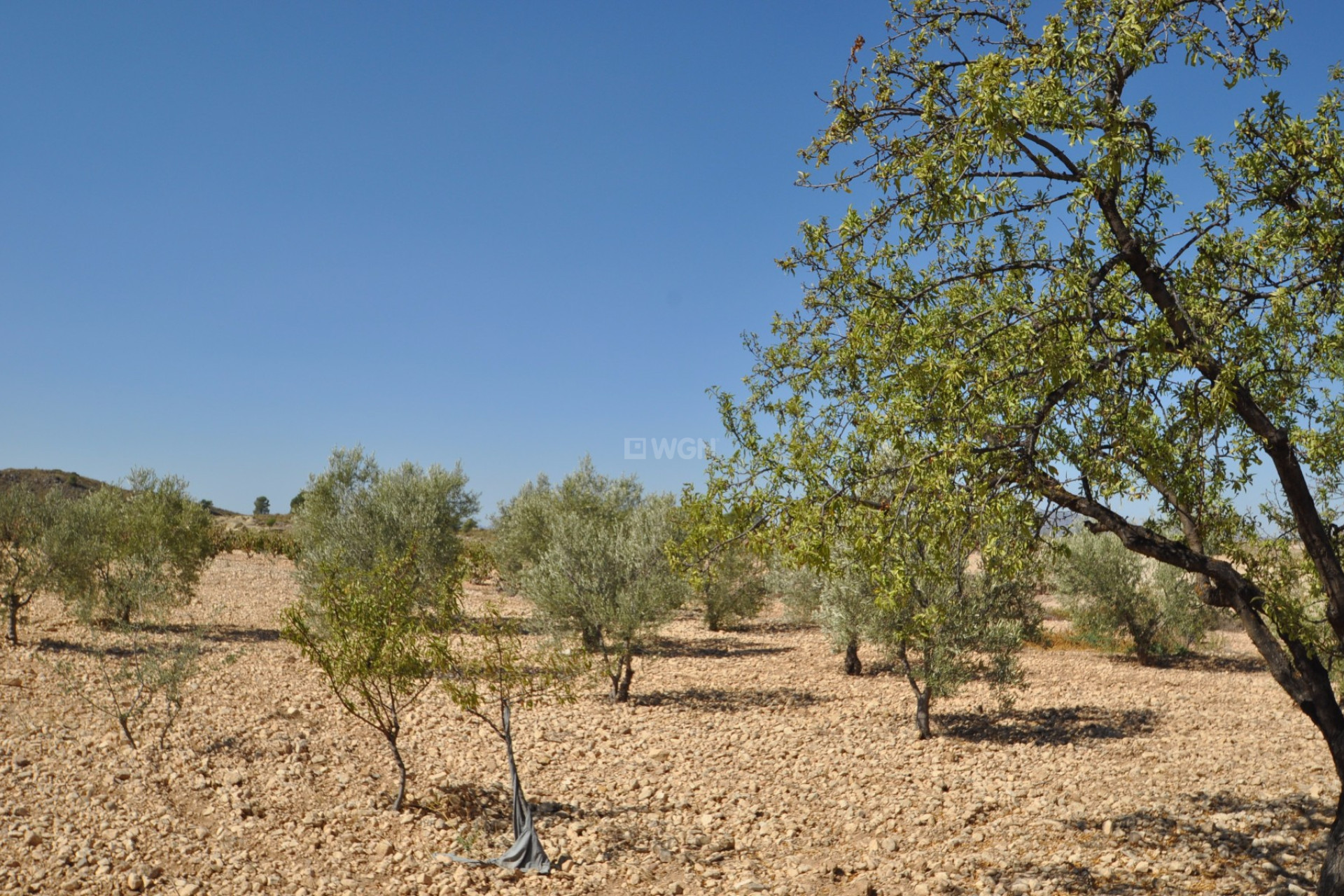 Reventa - Land - Torre Del Rico - Inland