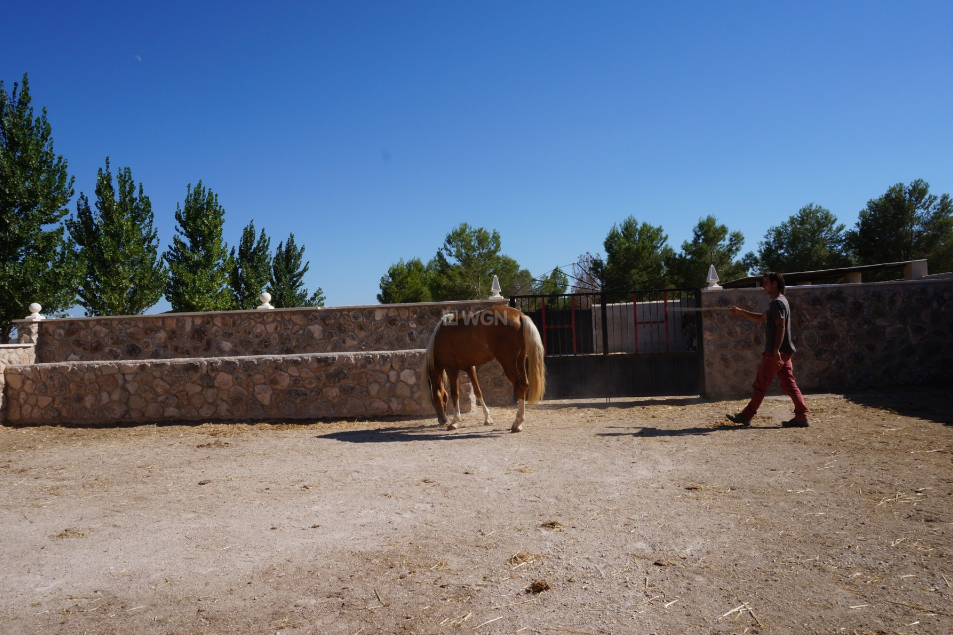 Reventa - Land - Yecla - Inland