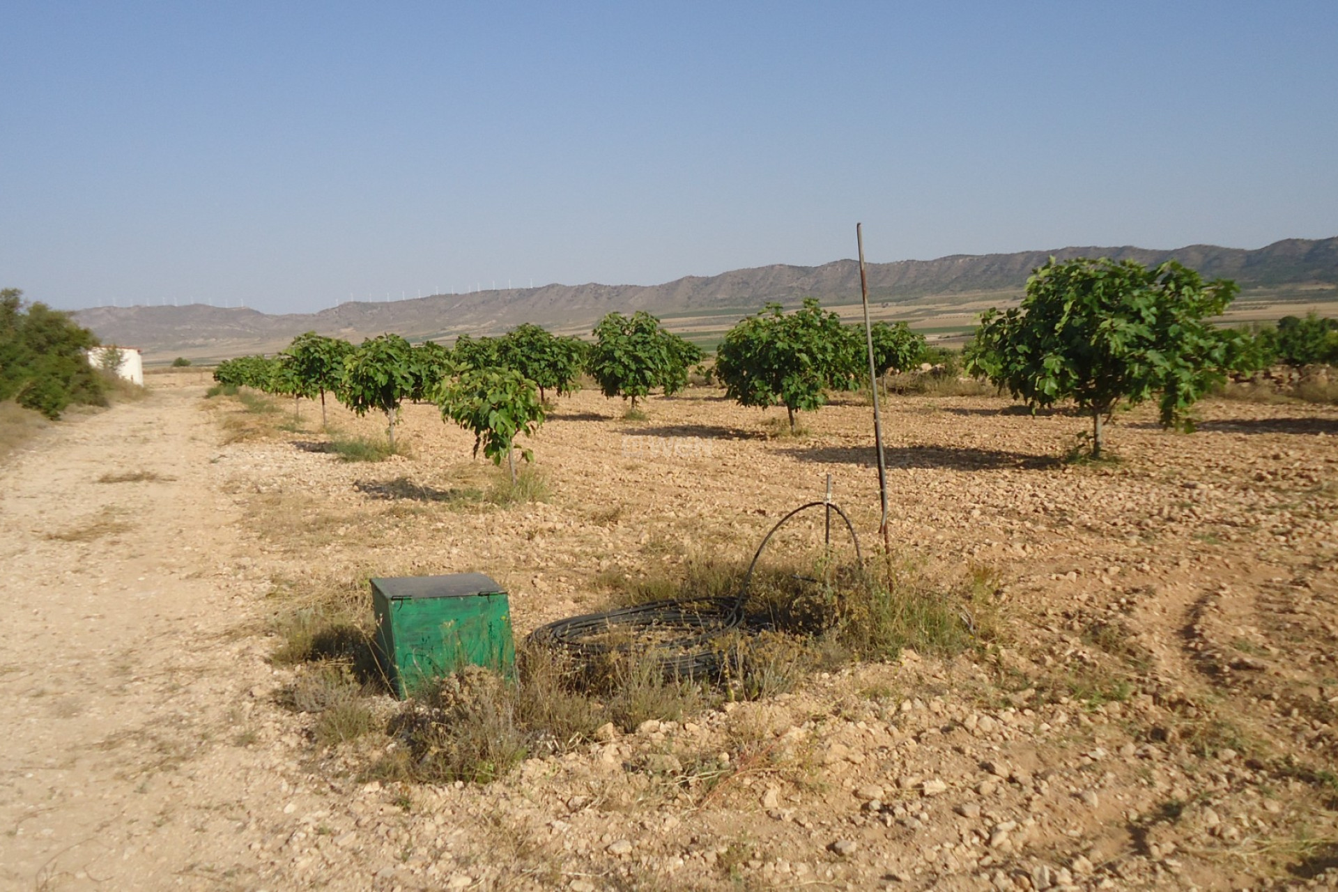 Reventa - Land - Yecla - Inland