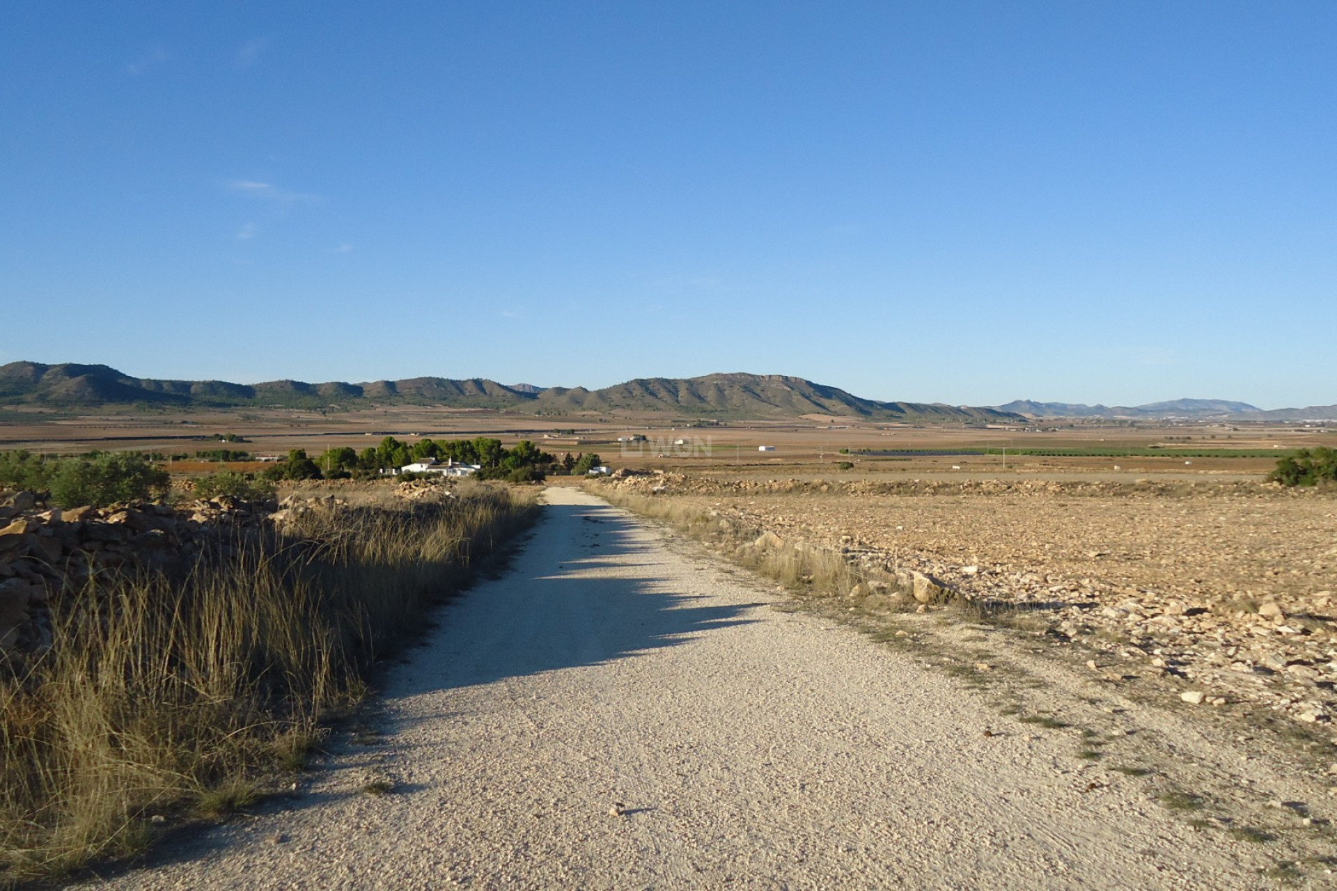 Reventa - Land - Yecla - Inland