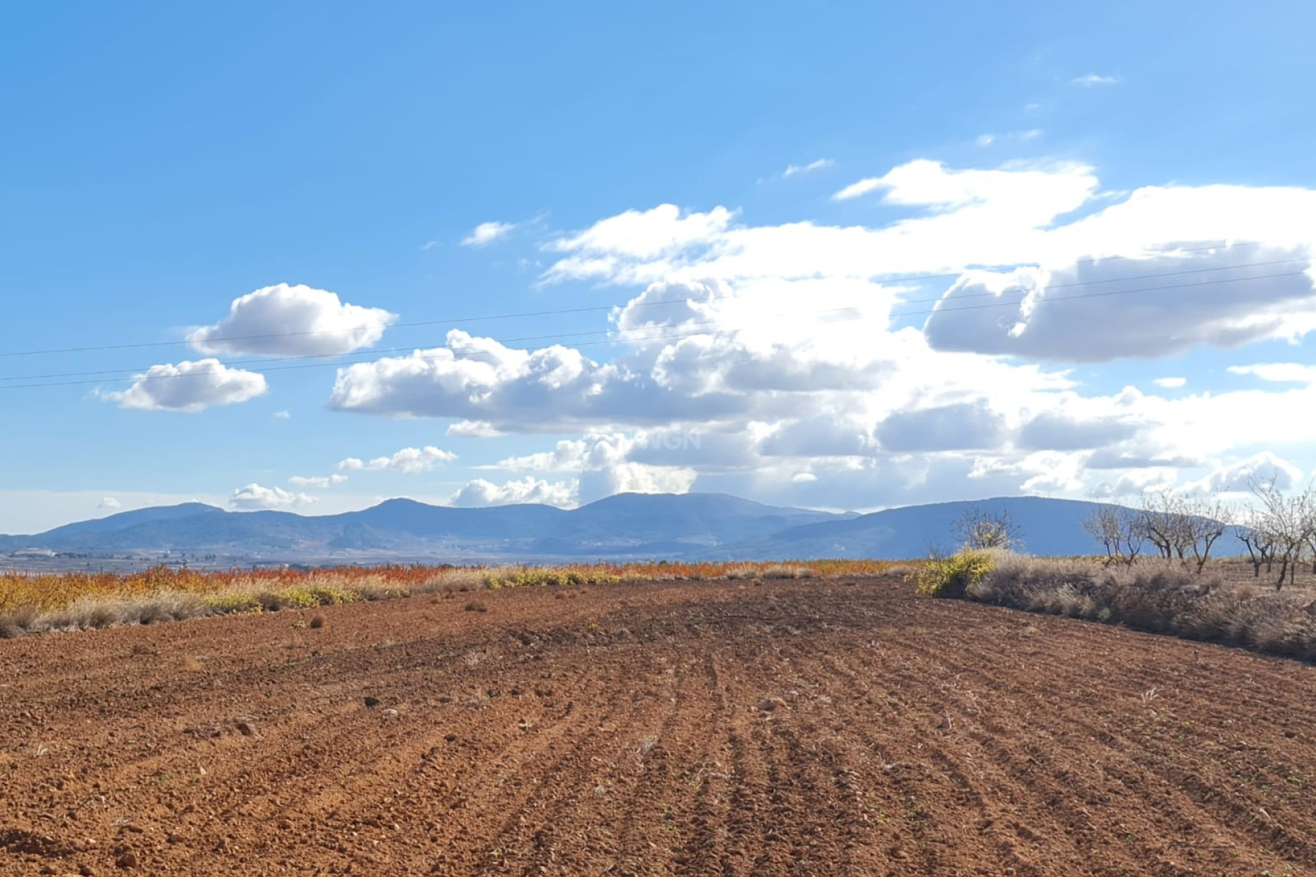 Reventa - Land - Yecla - Inland