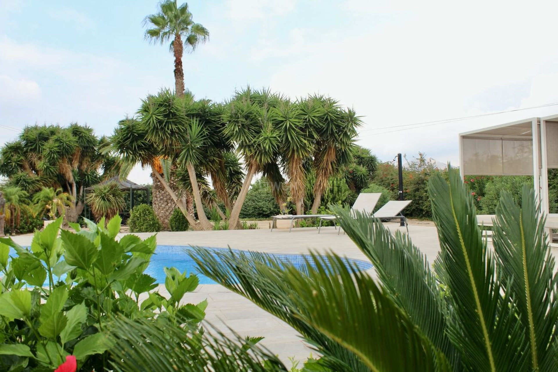 Reventa - Other - Orihuela - Campaneneta