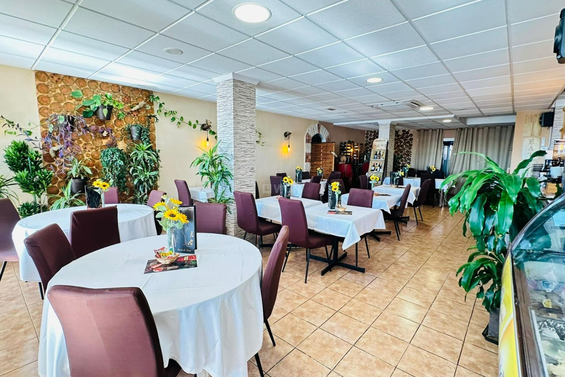 Reventa - Other - San Pedro del Pinatar - Lo Pagan Mar Menor