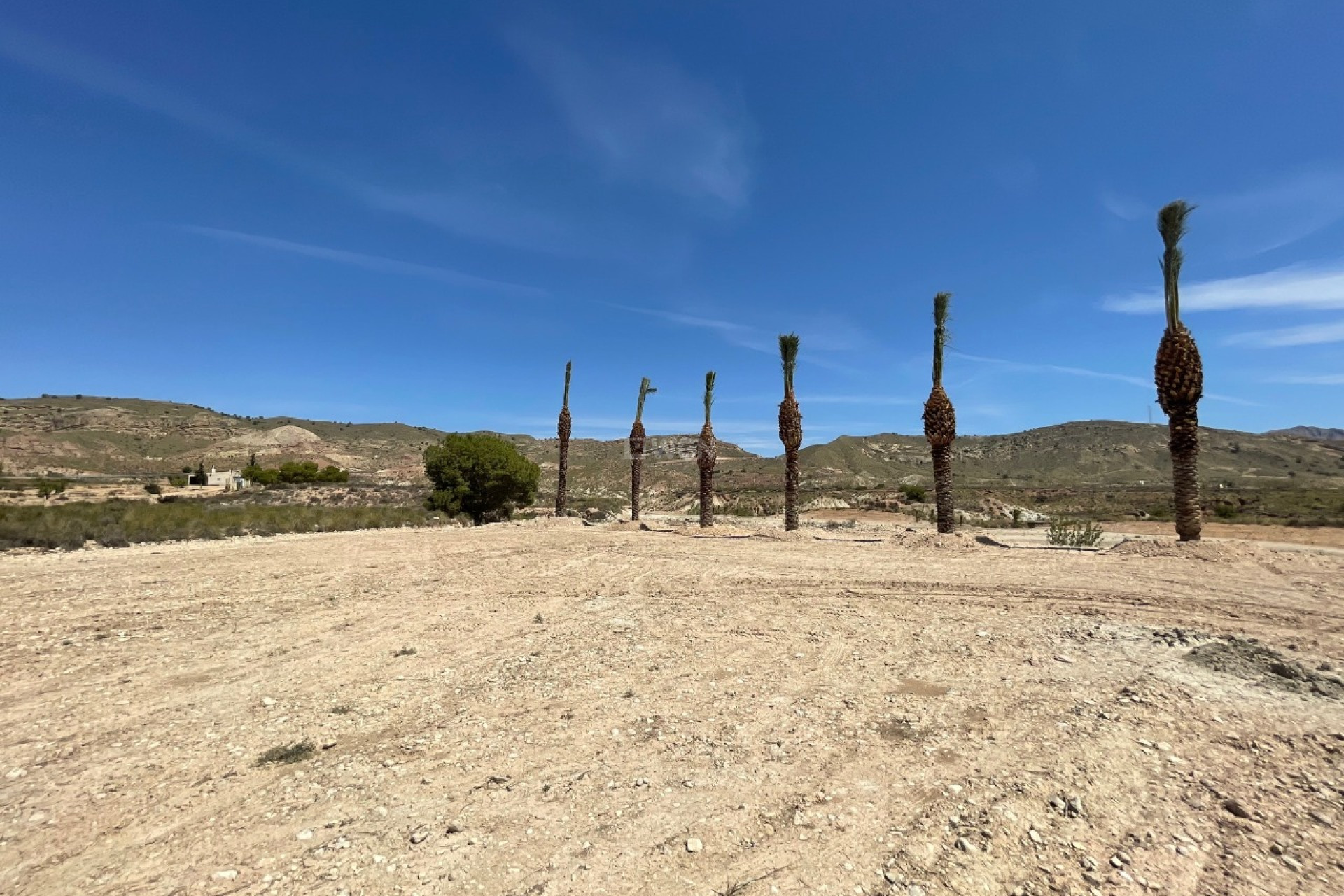 Reventa - Parcela / Terreno - Abanilla - Inland