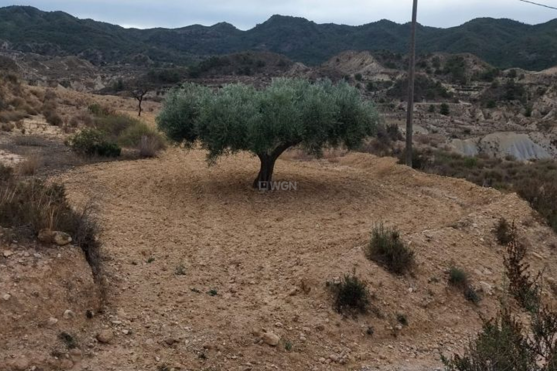 Reventa - Parcela / Terreno - Abanilla - Inland