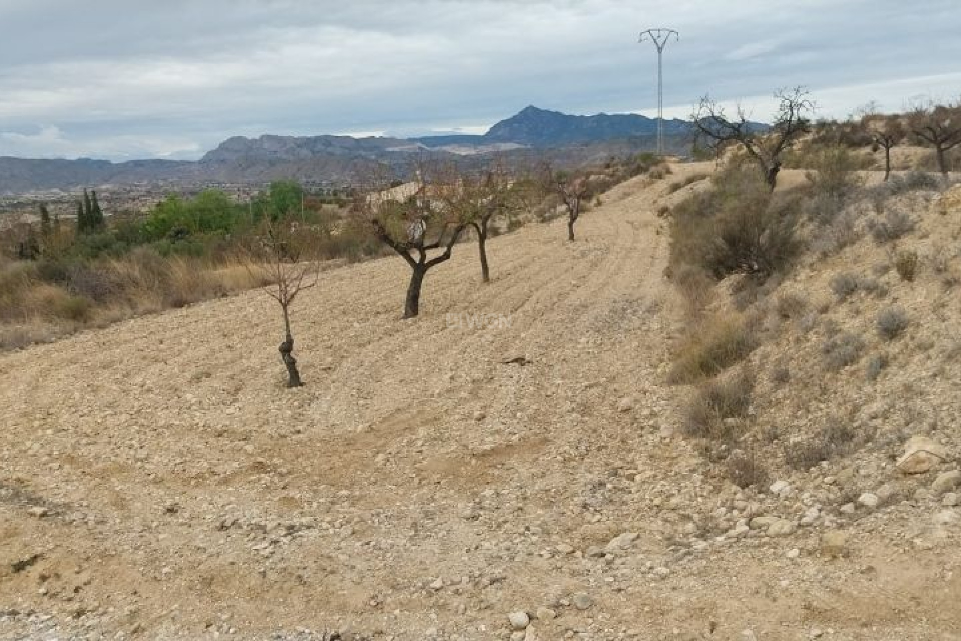 Reventa - Parcela / Terreno - Abanilla - Inland