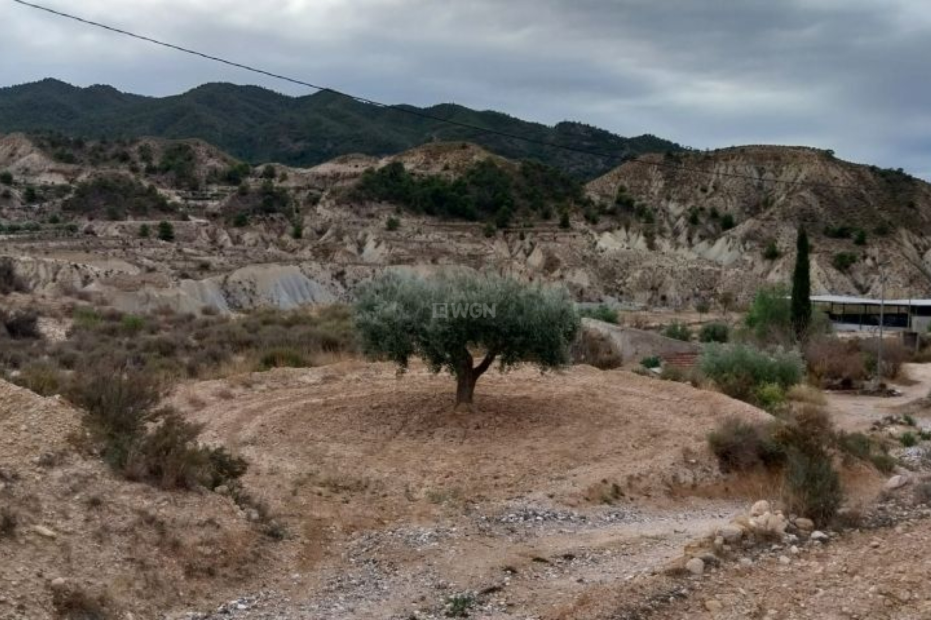 Reventa - Parcela / Terreno - Abanilla - Inland