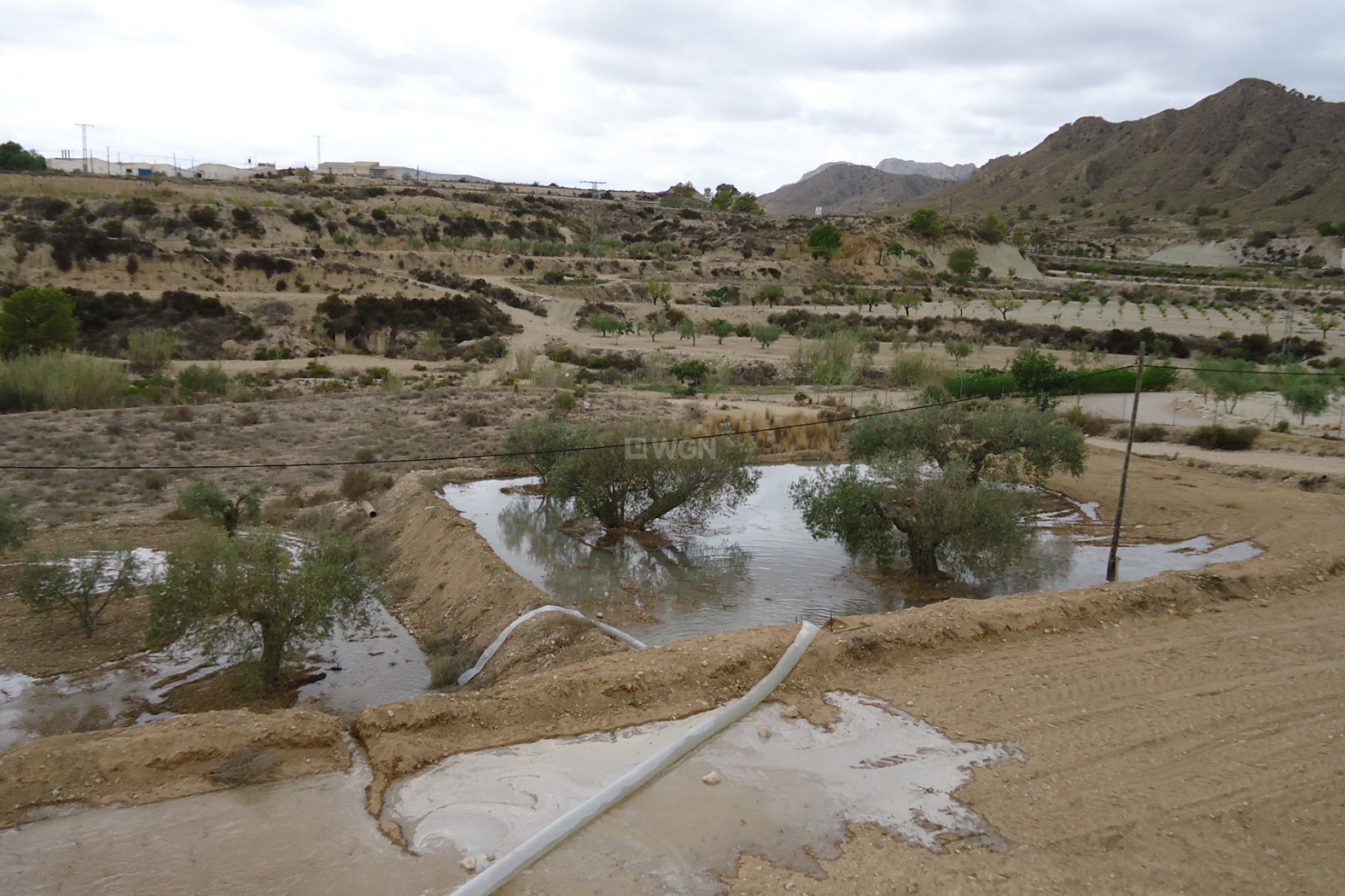 Reventa - Parcela / Terreno - Abanilla - Inland