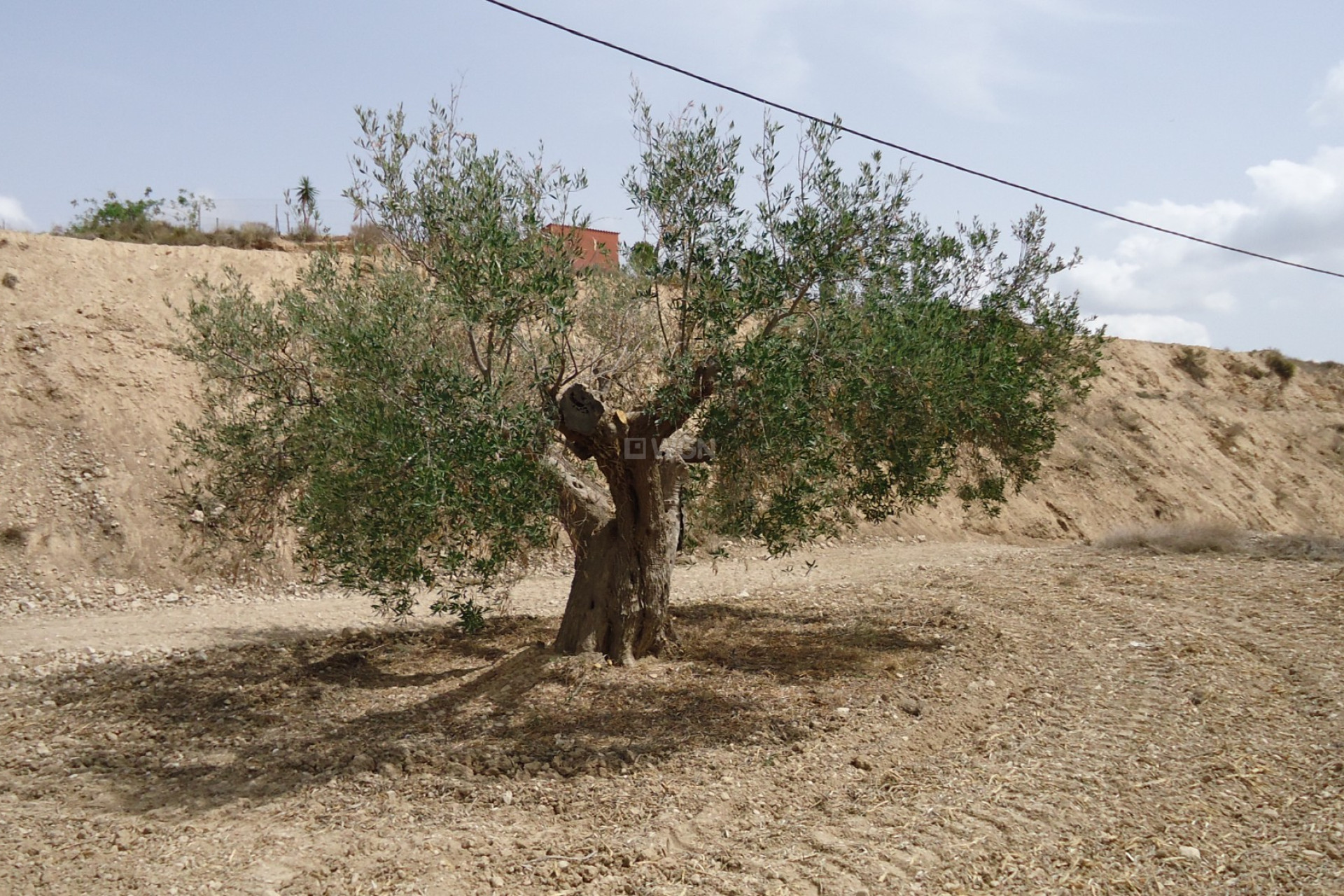 Reventa - Parcela / Terreno - Abanilla - Inland