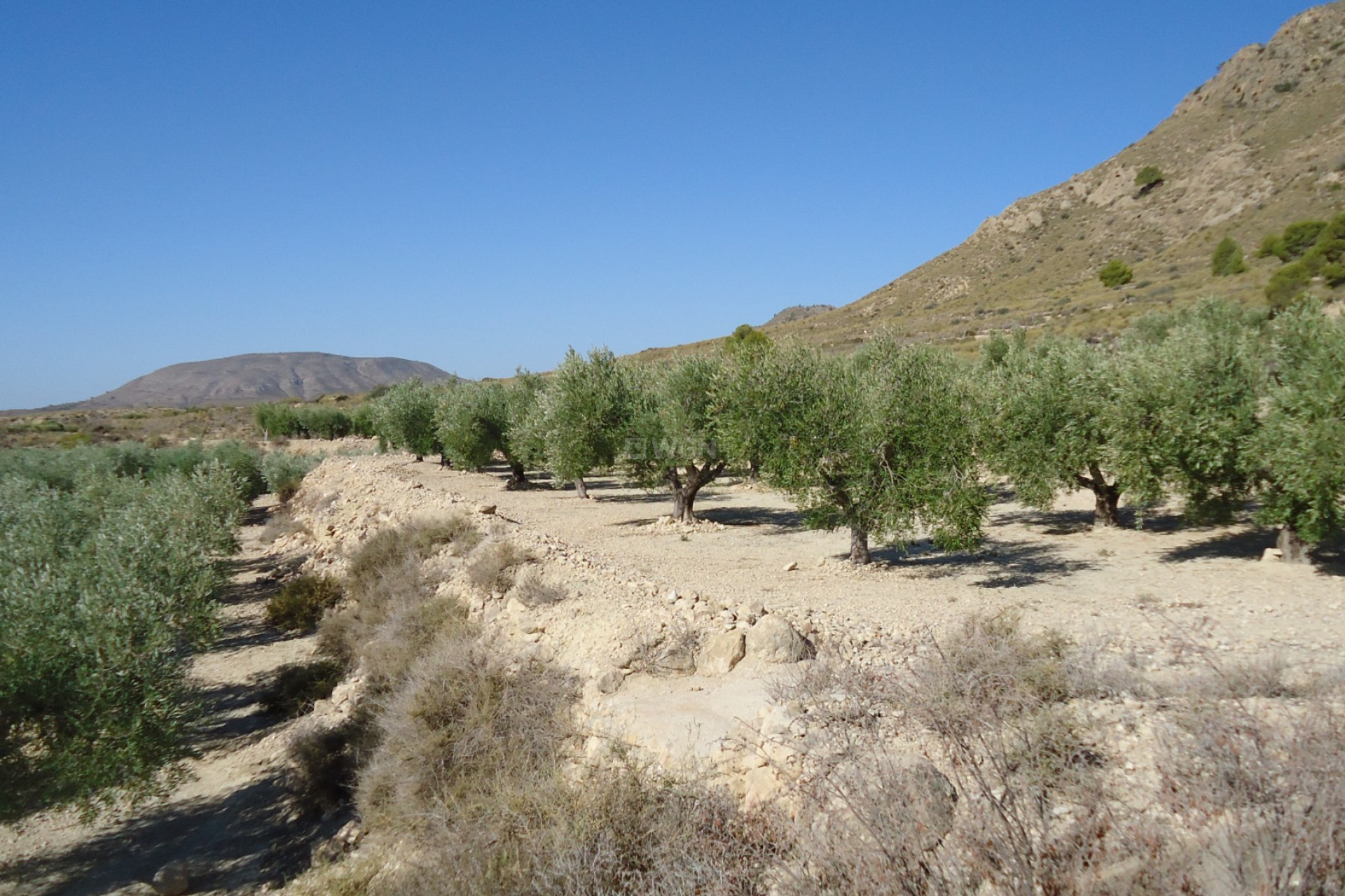 Reventa - Parcela / Terreno - Abanilla - Inland