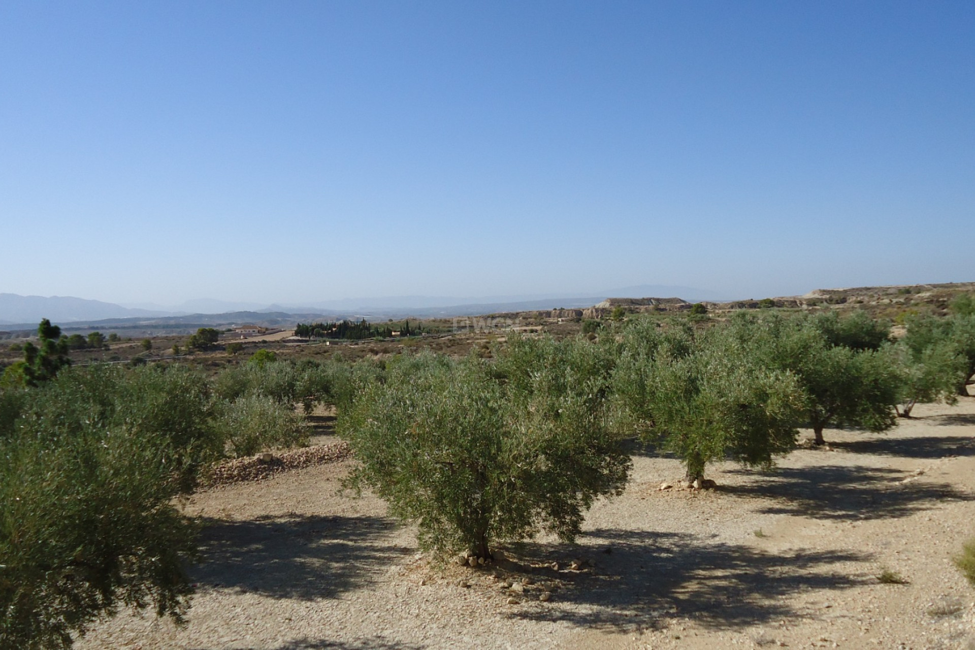 Reventa - Parcela / Terreno - Abanilla - Inland