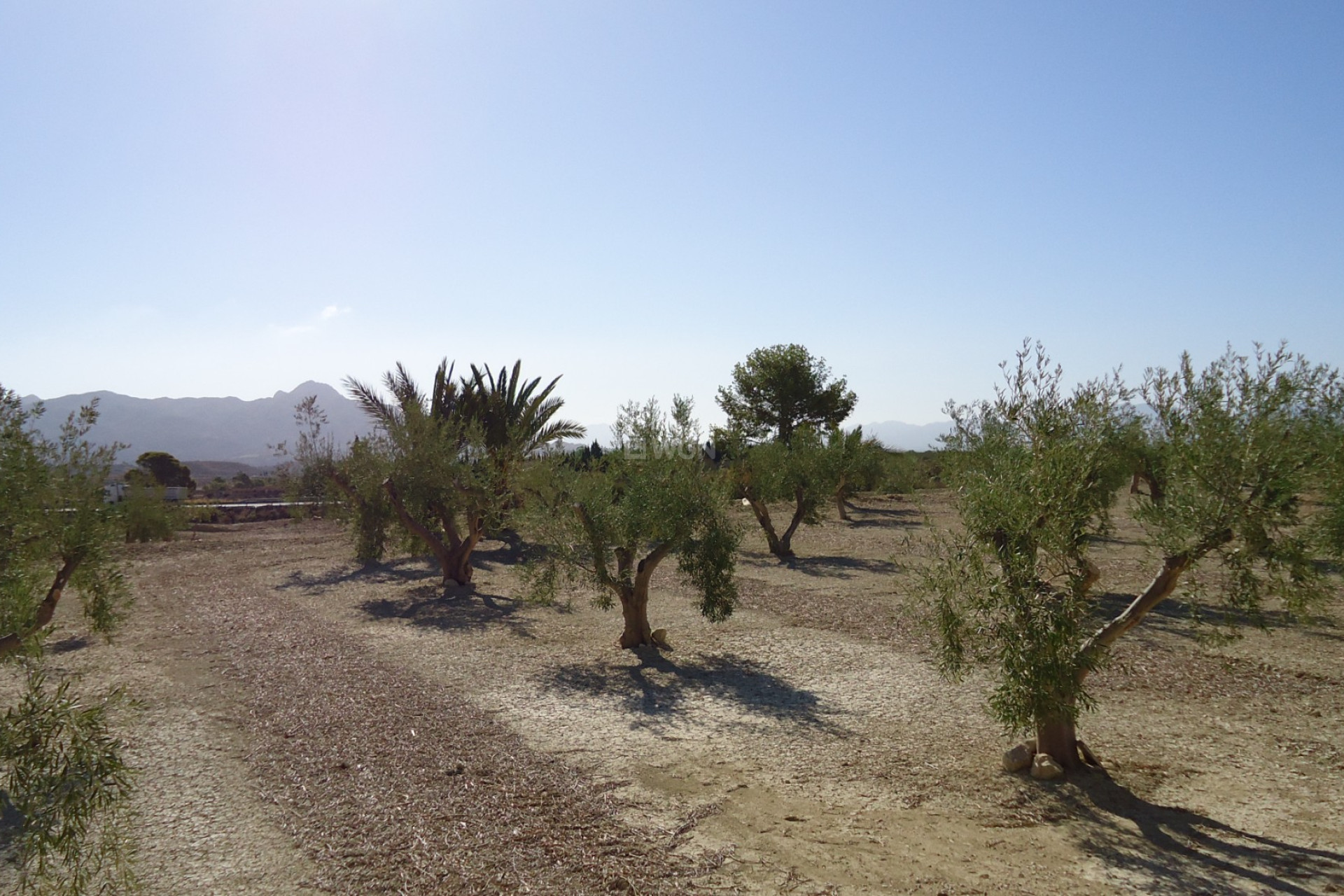 Reventa - Parcela / Terreno - Abanilla - Inland