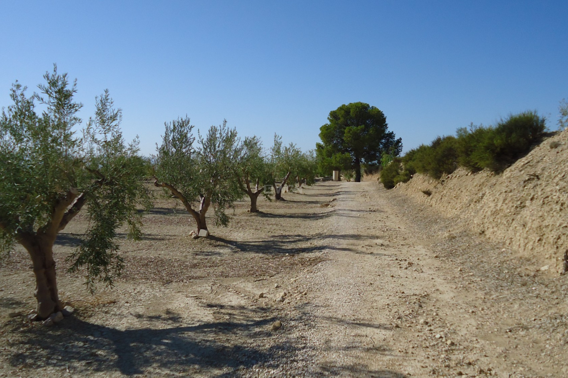 Reventa - Parcela / Terreno - Abanilla - Inland