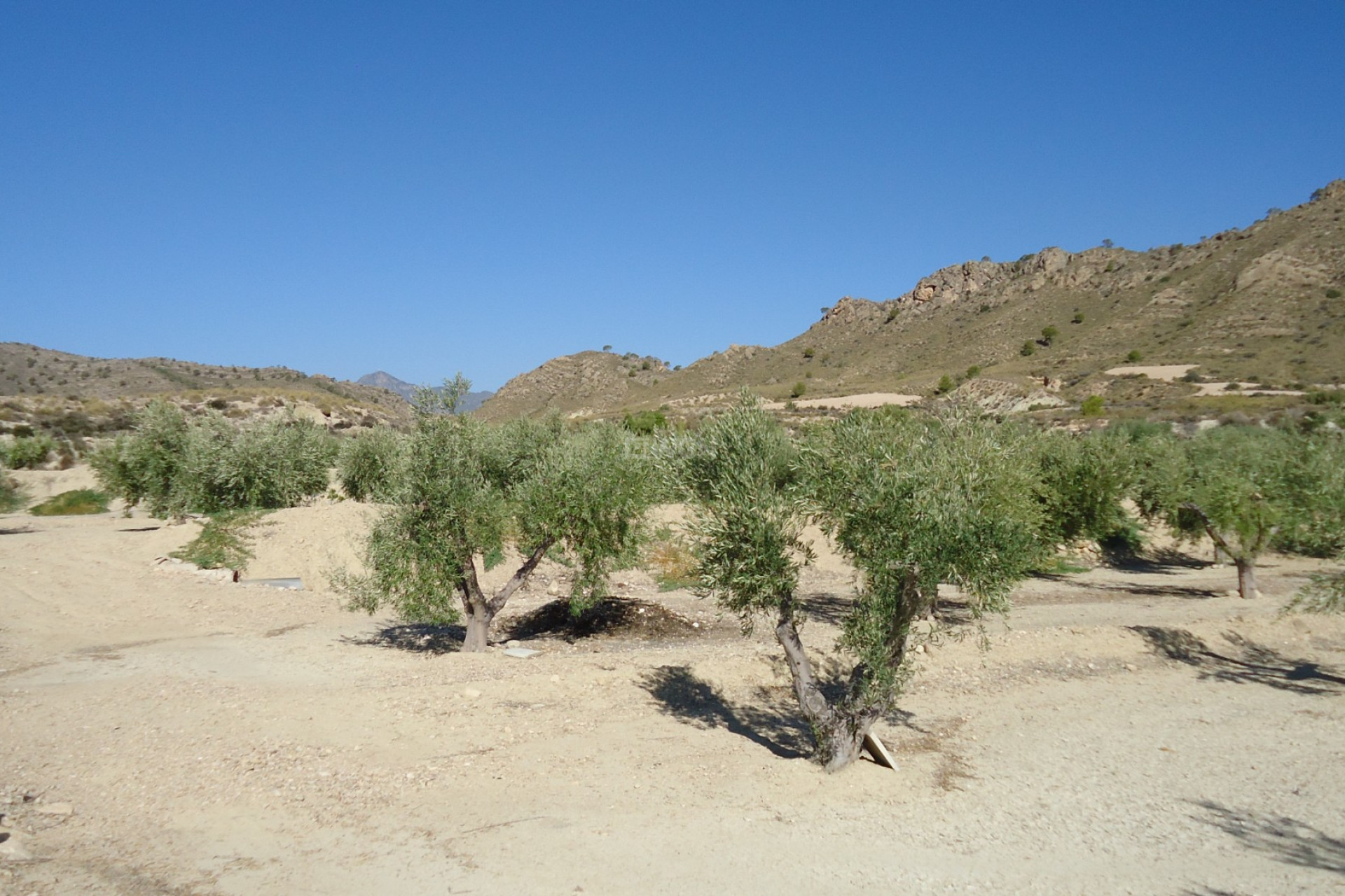 Reventa - Parcela / Terreno - Abanilla - Inland