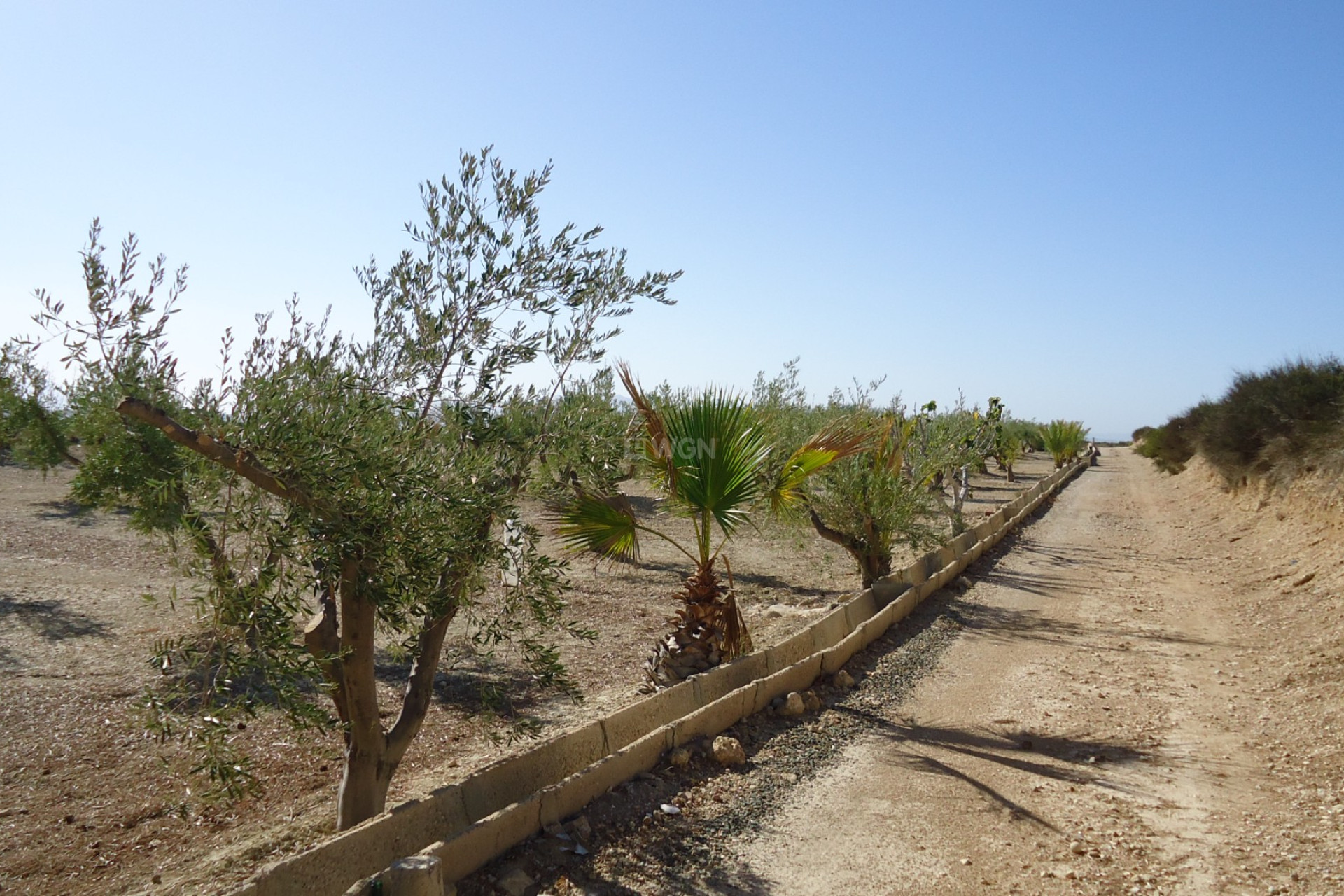 Reventa - Parcela / Terreno - Abanilla - Inland