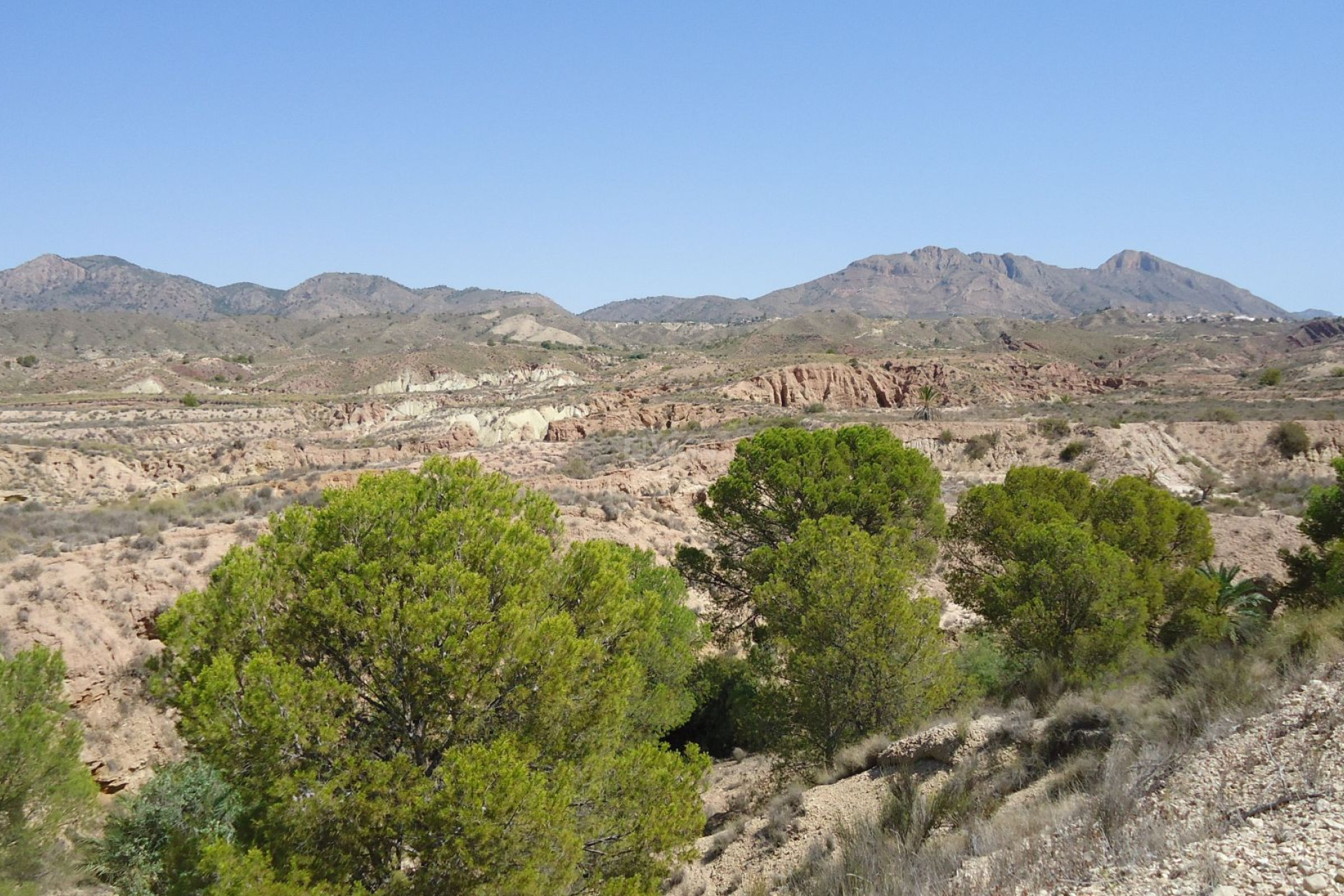 Reventa - Parcela / Terreno - Abanilla - Inland