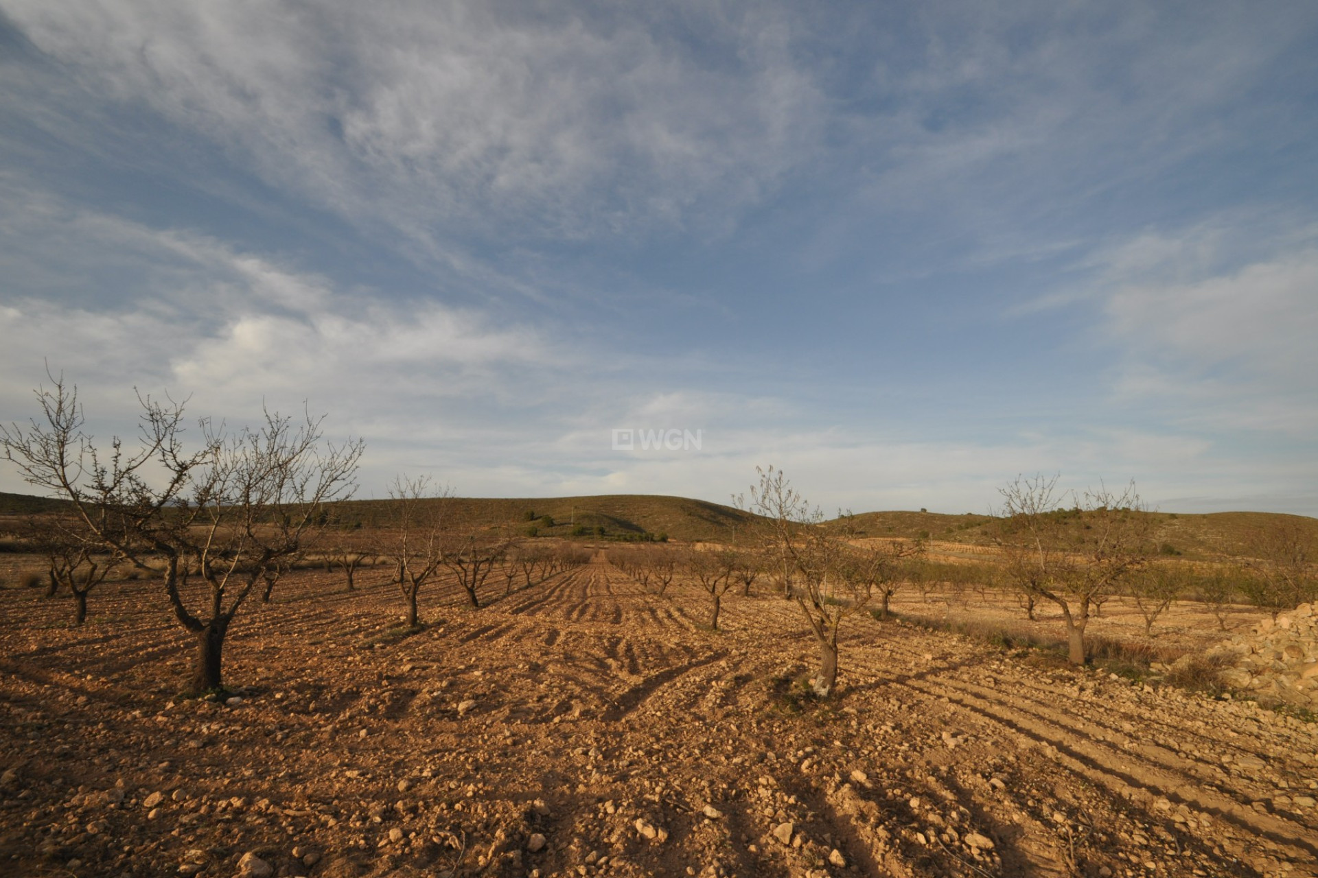 Reventa - Parcela / Terreno - Abanilla - Inland