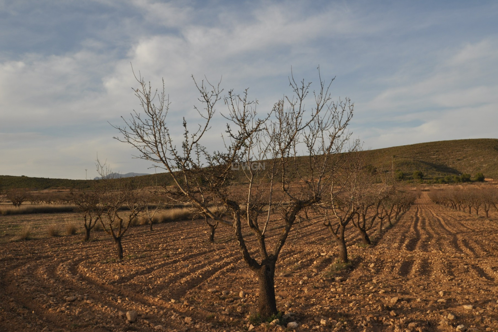 Reventa - Parcela / Terreno - Abanilla - Inland