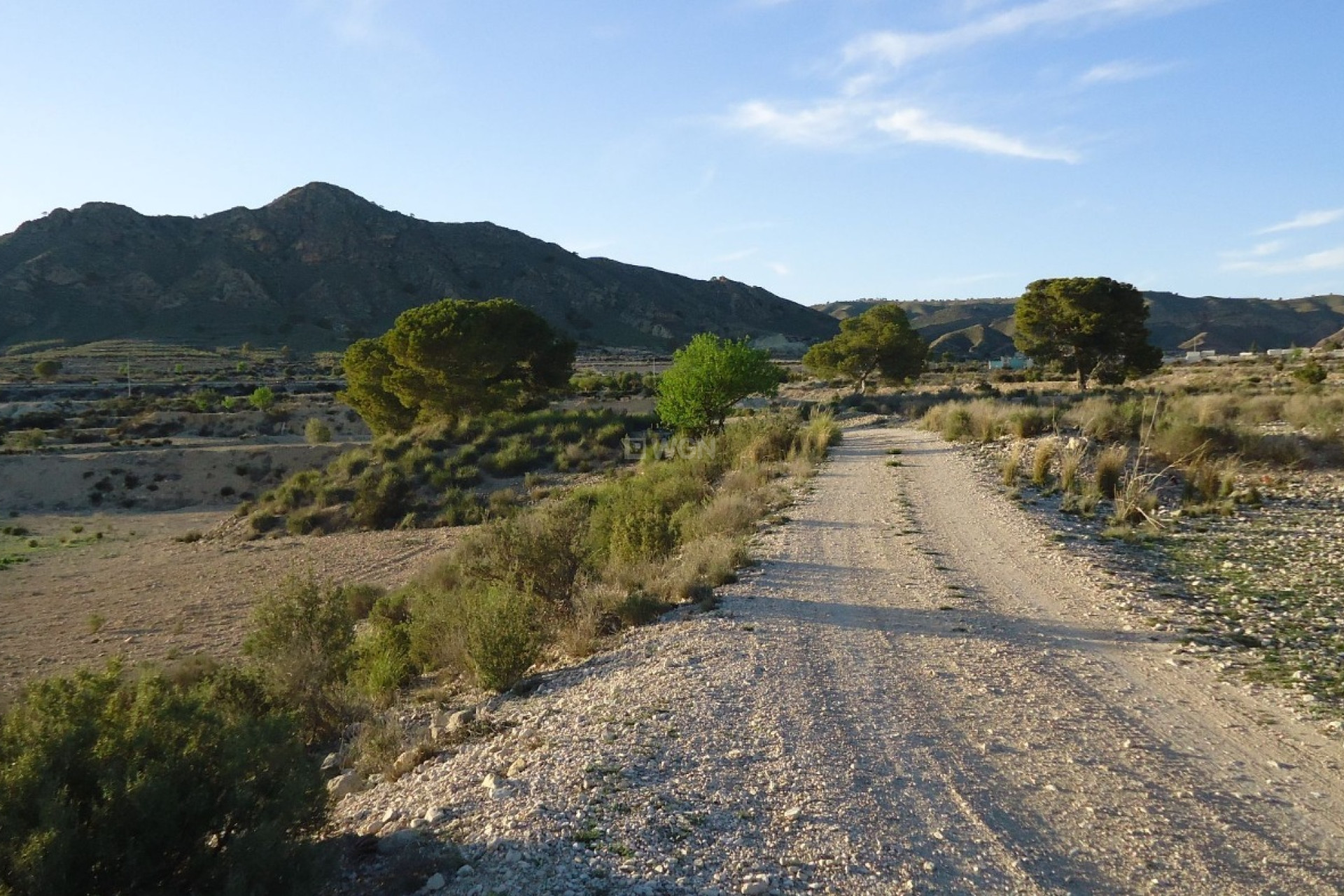 Reventa - Parcela / Terreno - Abanilla - Inland