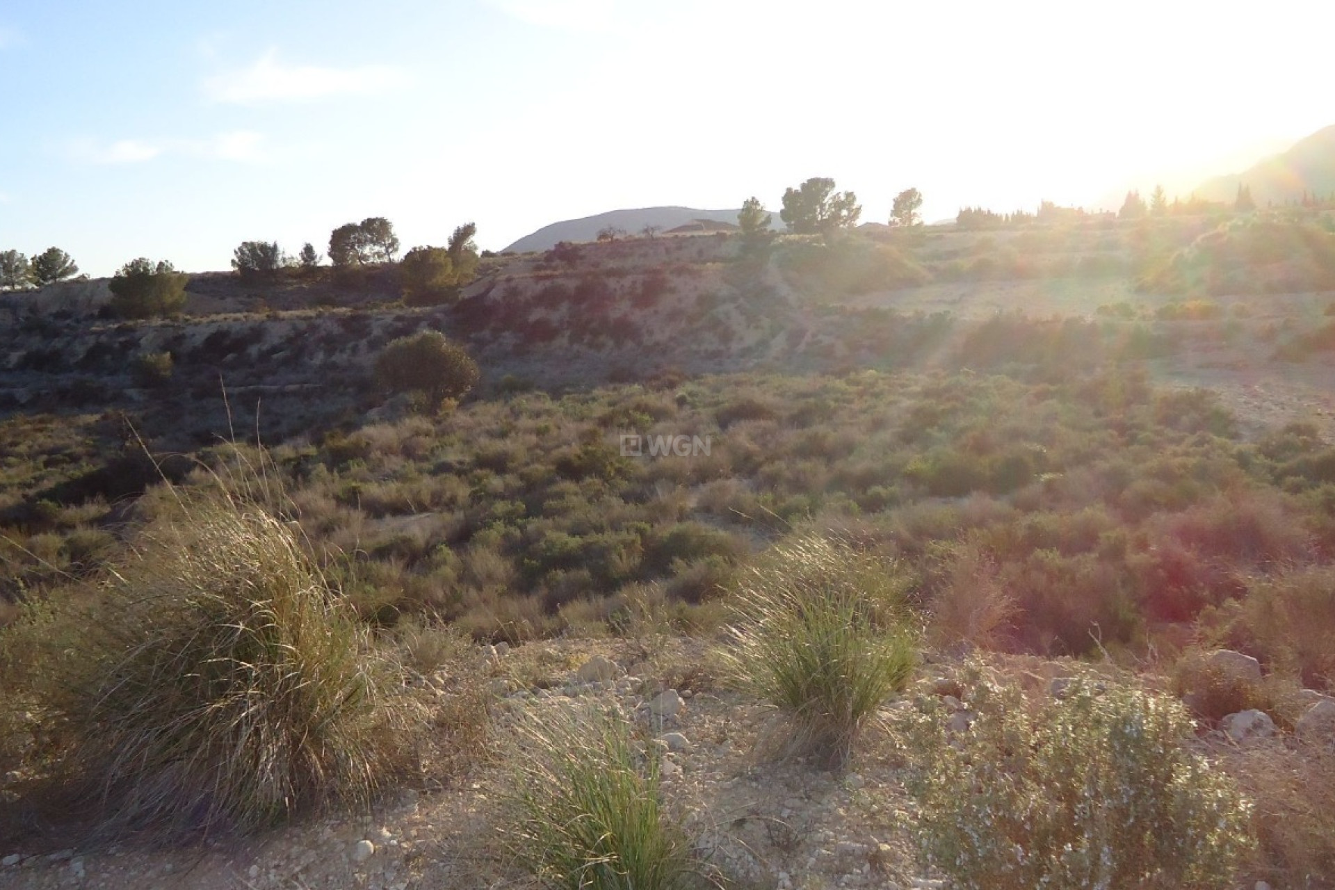 Reventa - Parcela / Terreno - Abanilla - Inland